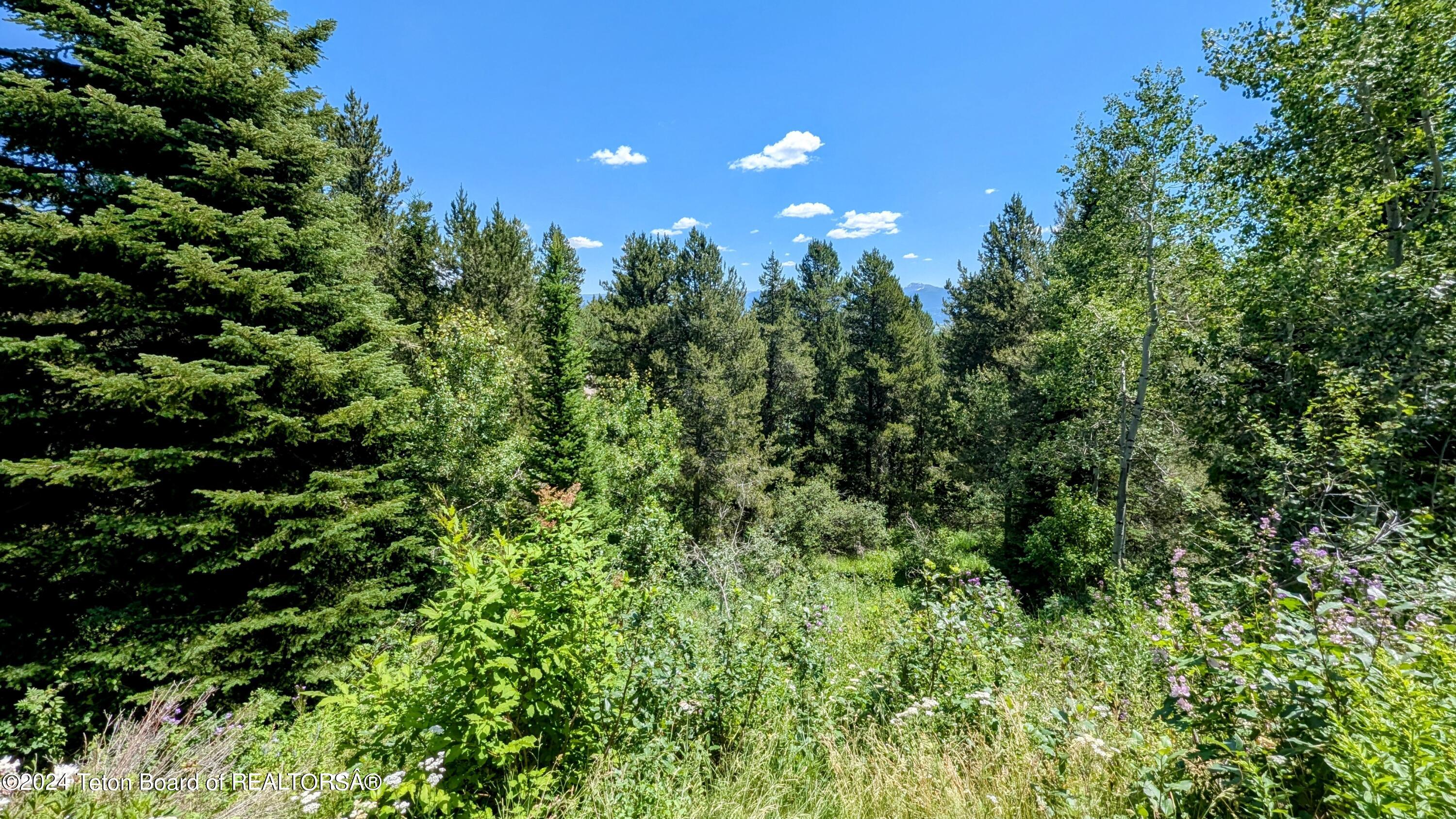 5391 NEEDLE LEAF Lane