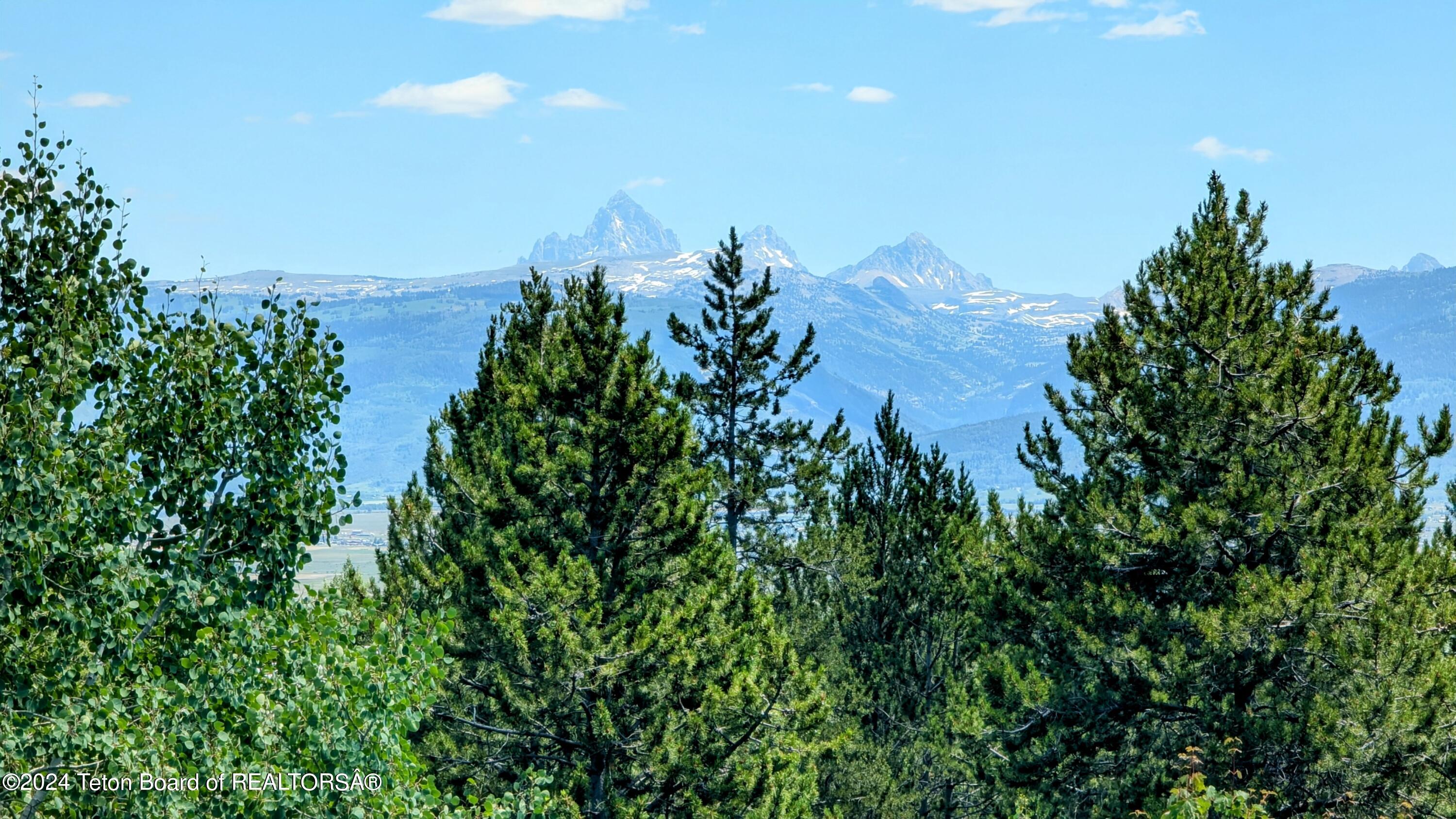 5391 NEEDLE LEAF Lane