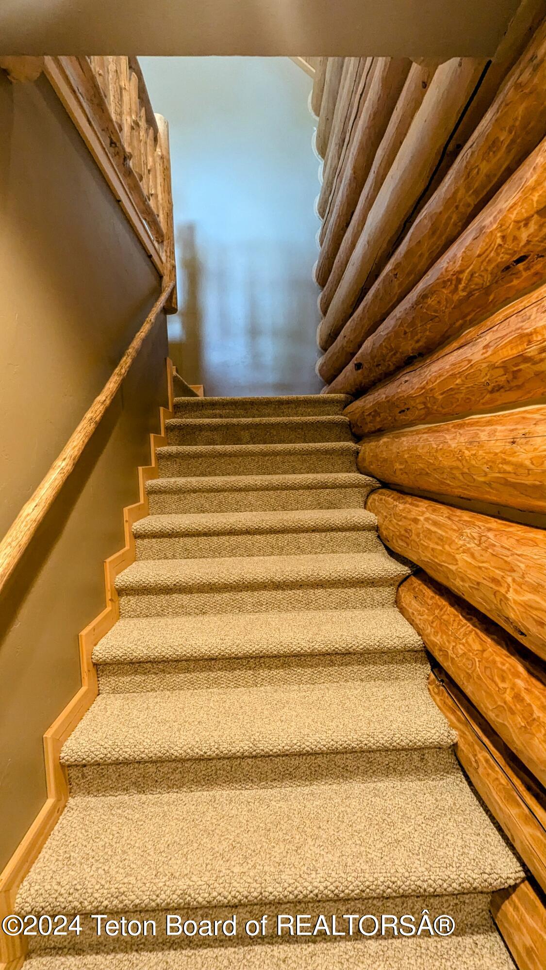 5391 NEEDLE LEAF Lane