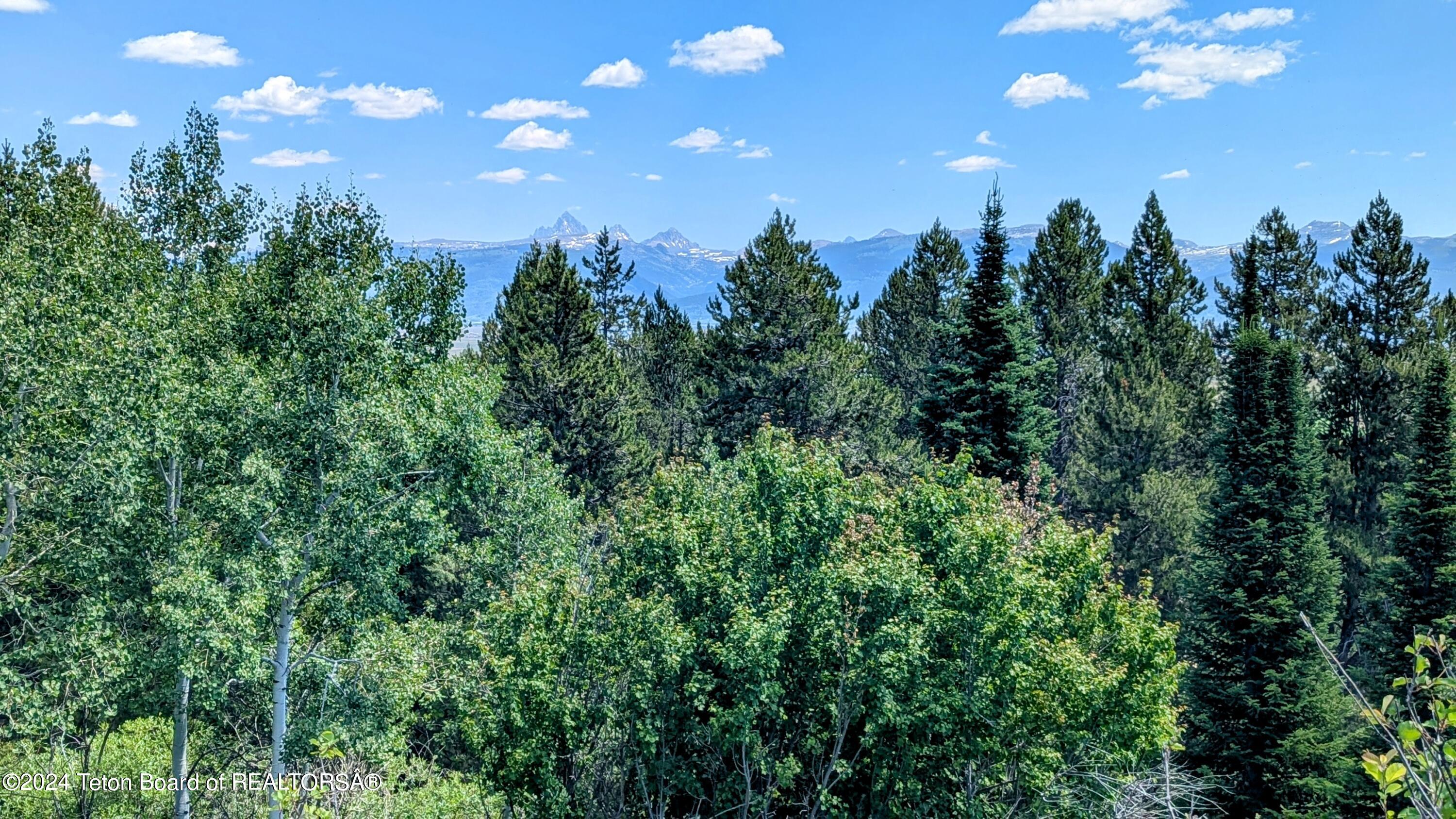 5391 NEEDLE LEAF Lane