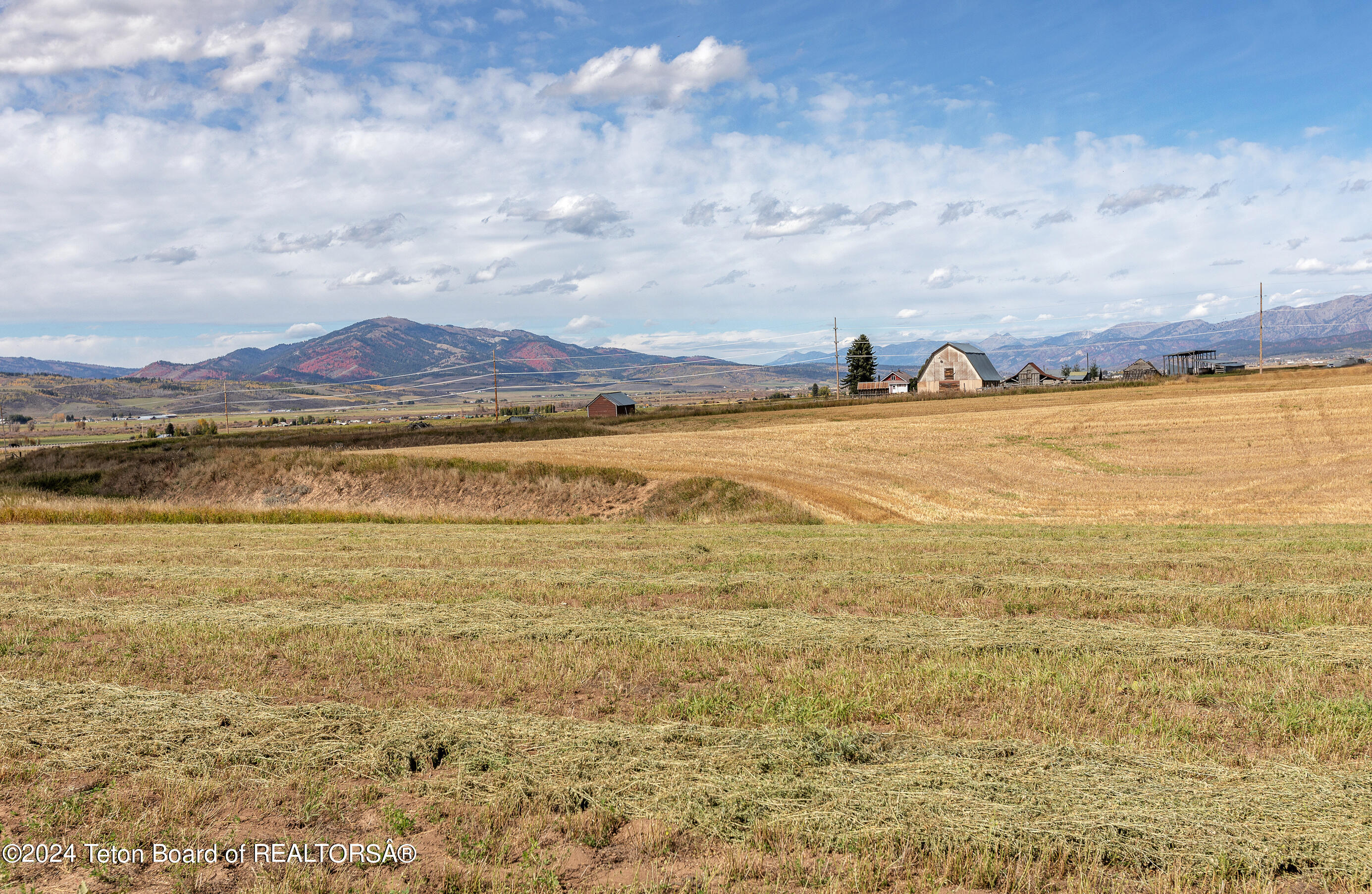 LOT 4 DICK CASULL Loop