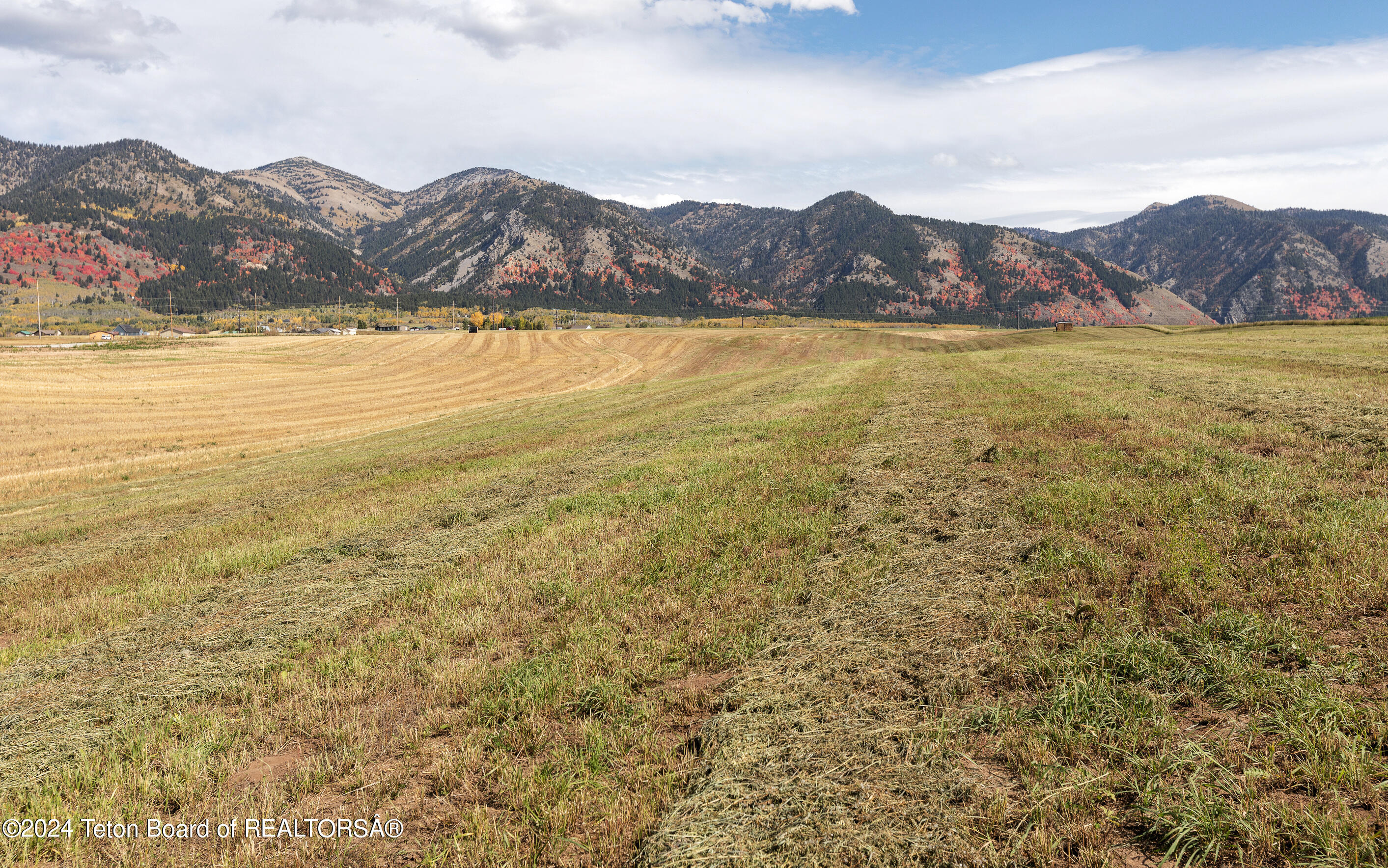 LOT 4 DICK CASULL Loop