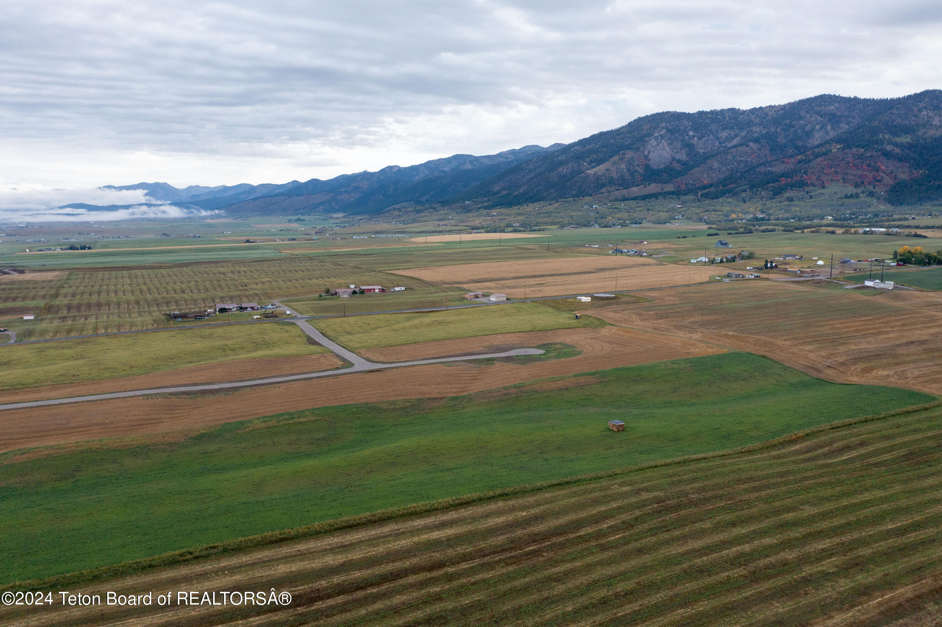 LOT 4 DICK CASULL Loop