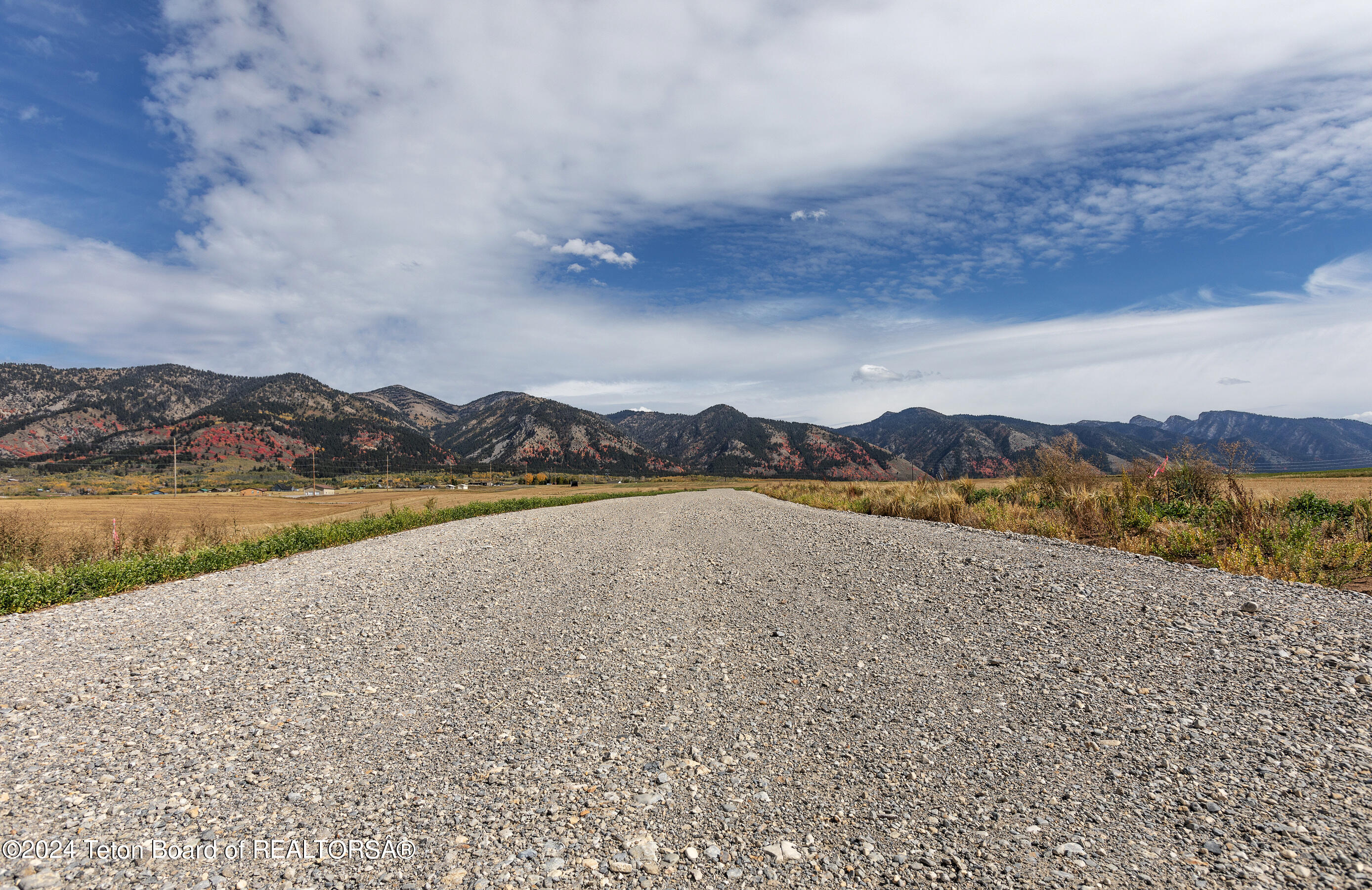 LOT 4 DICK CASULL Loop