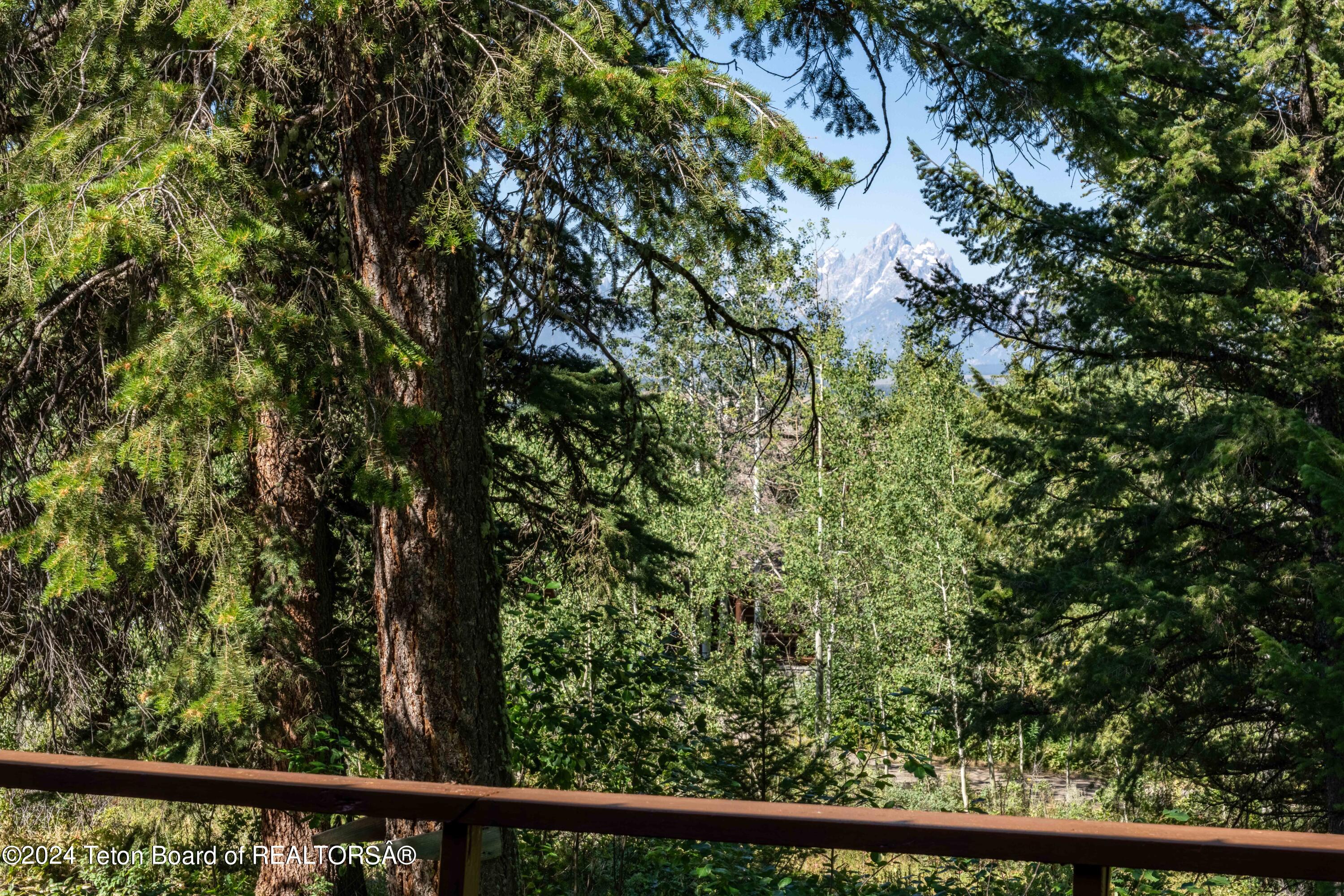 15185 E TETON WILDERNESS Drive