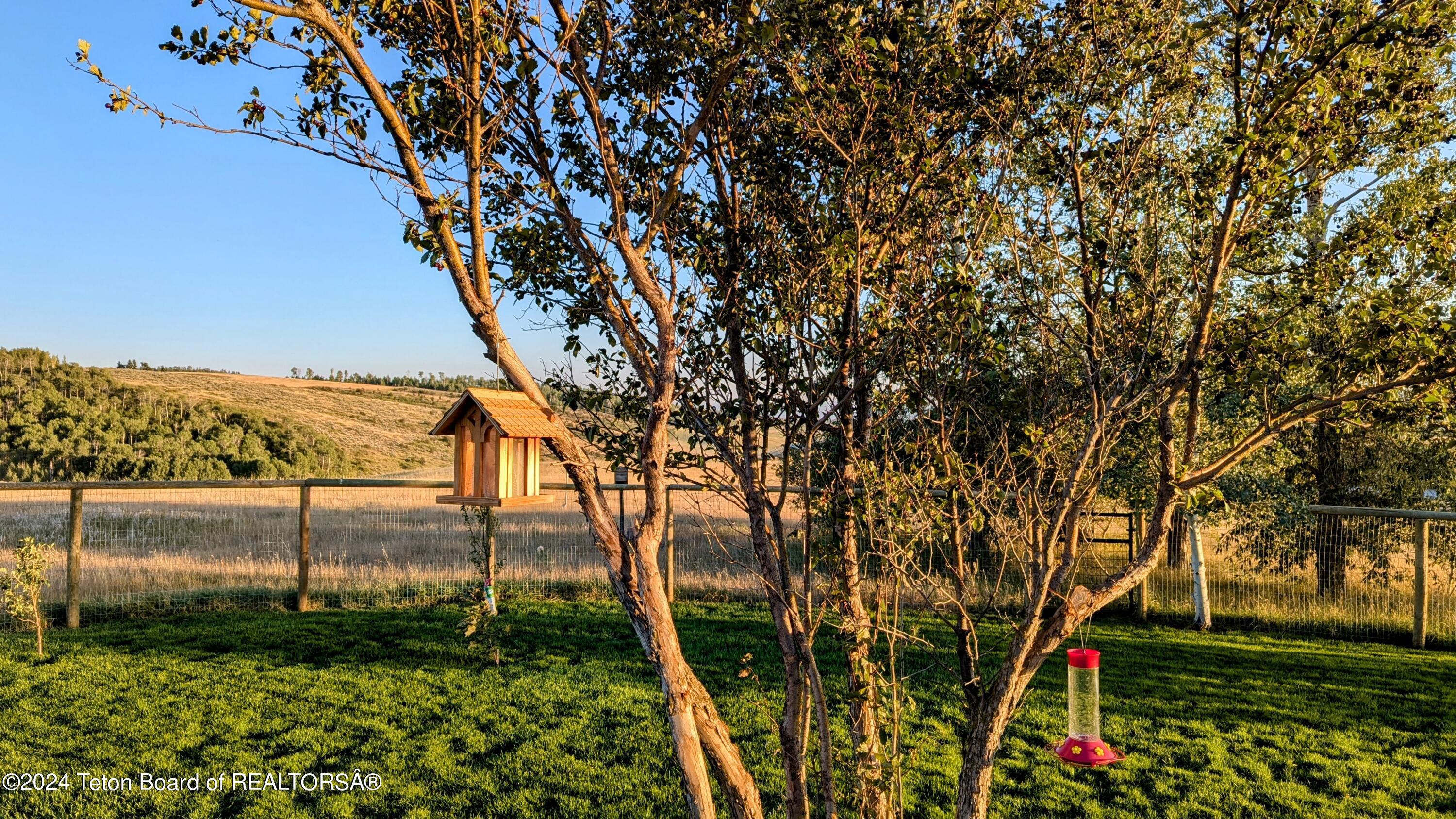 3235 REECE RIDGE Road