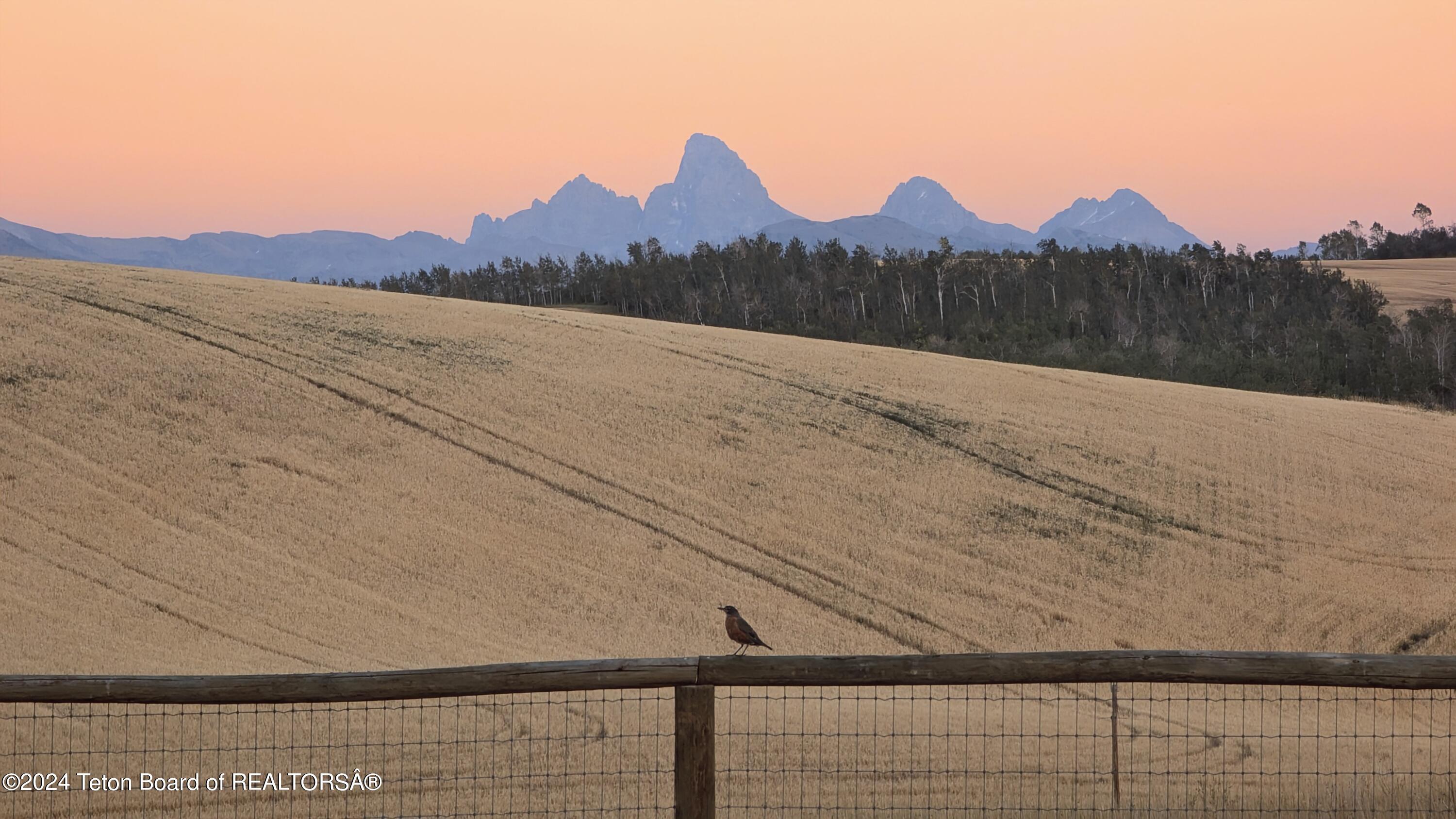 3235 REECE RIDGE Road