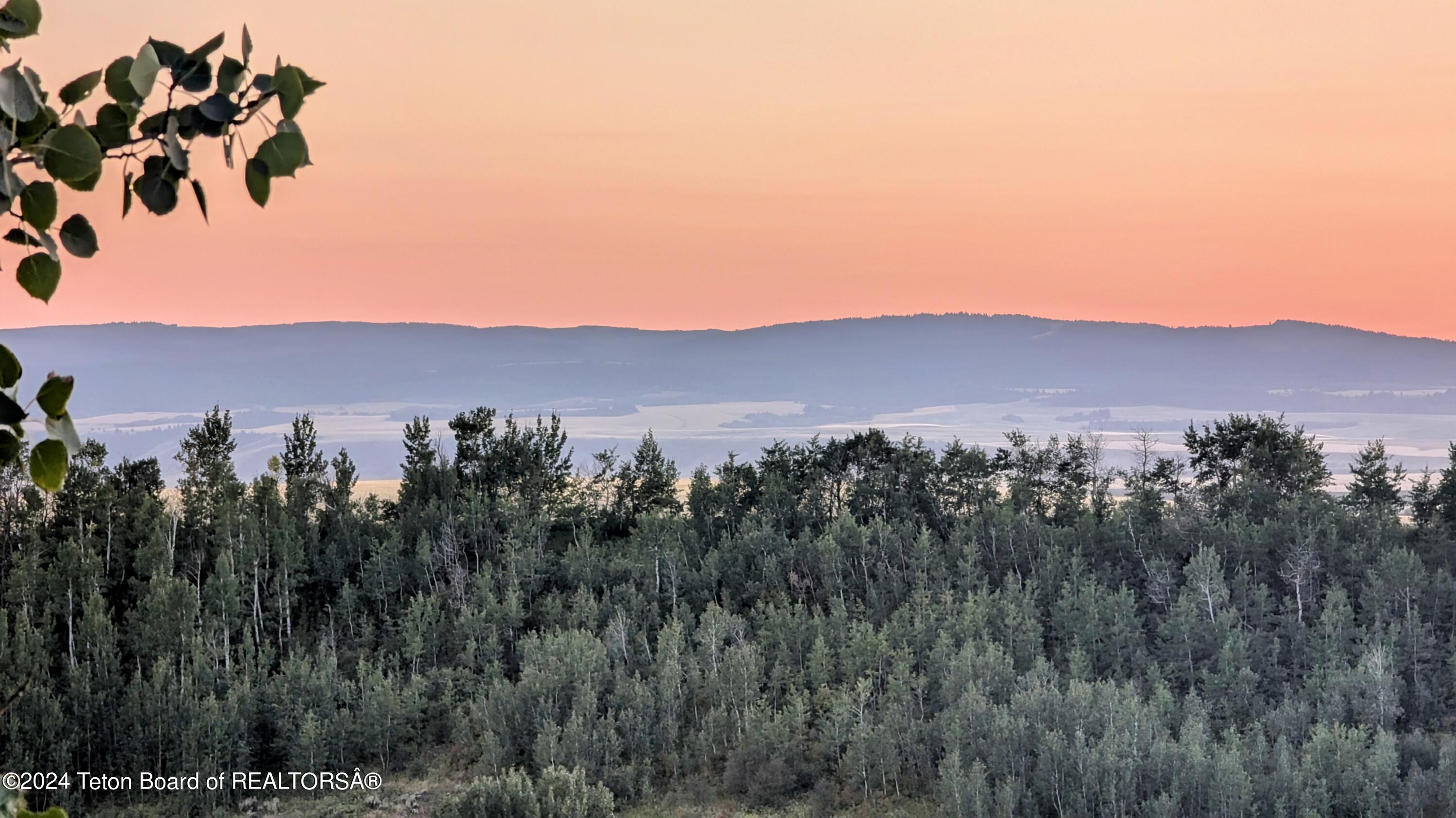 3235 REECE RIDGE Road