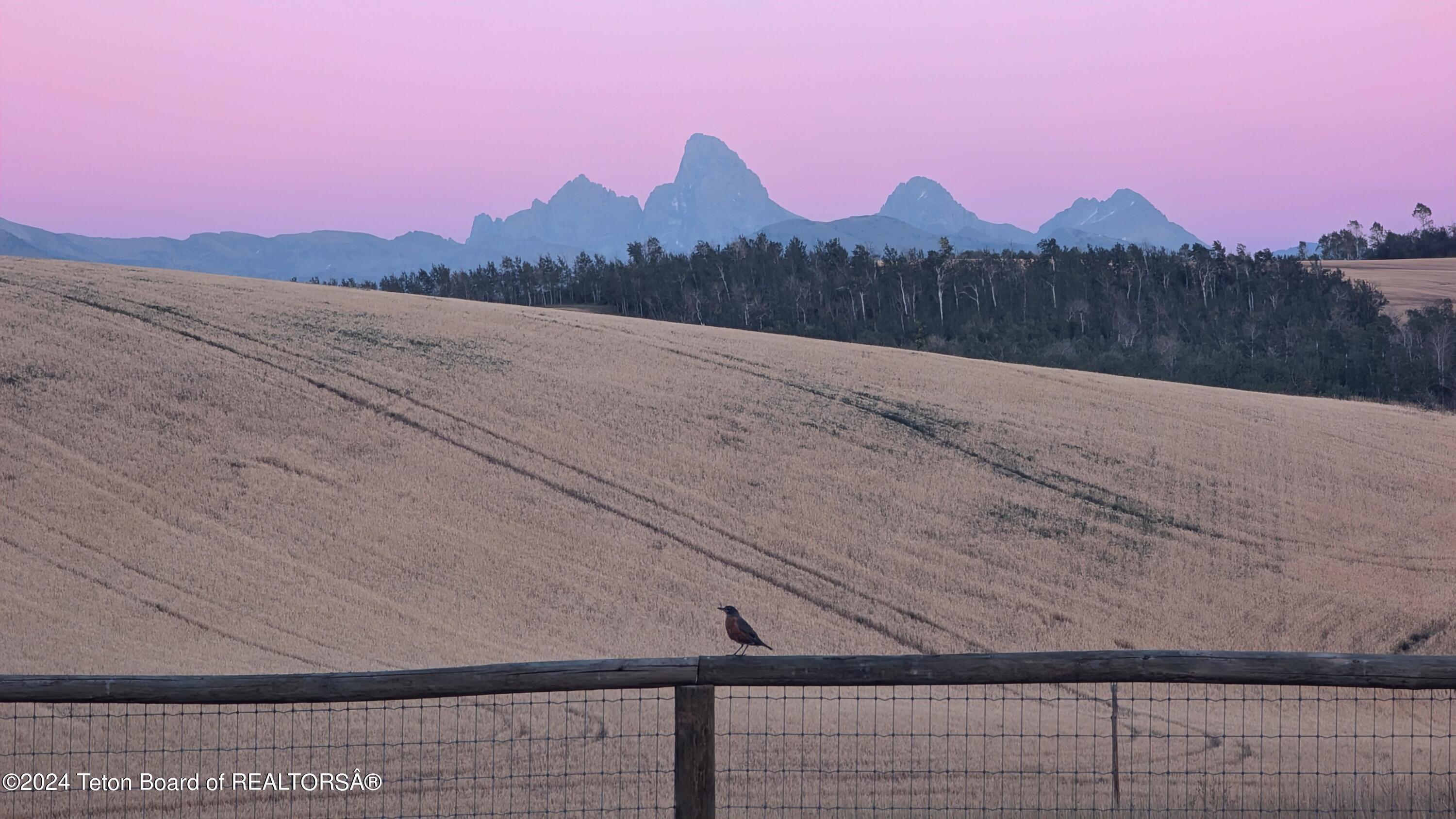 3235 REECE RIDGE Road