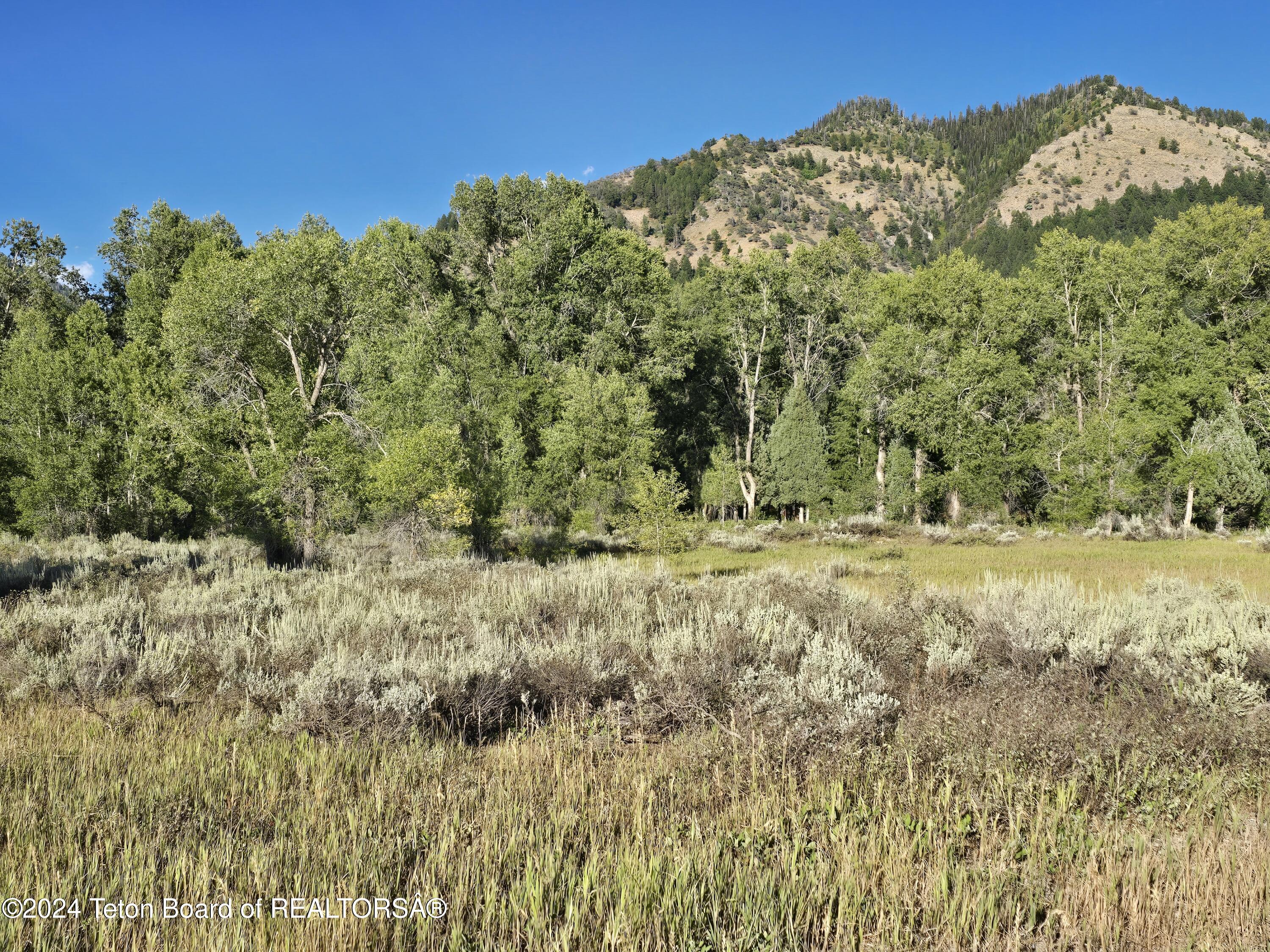 LOT 95 GOLF COURSE - HARDMAN