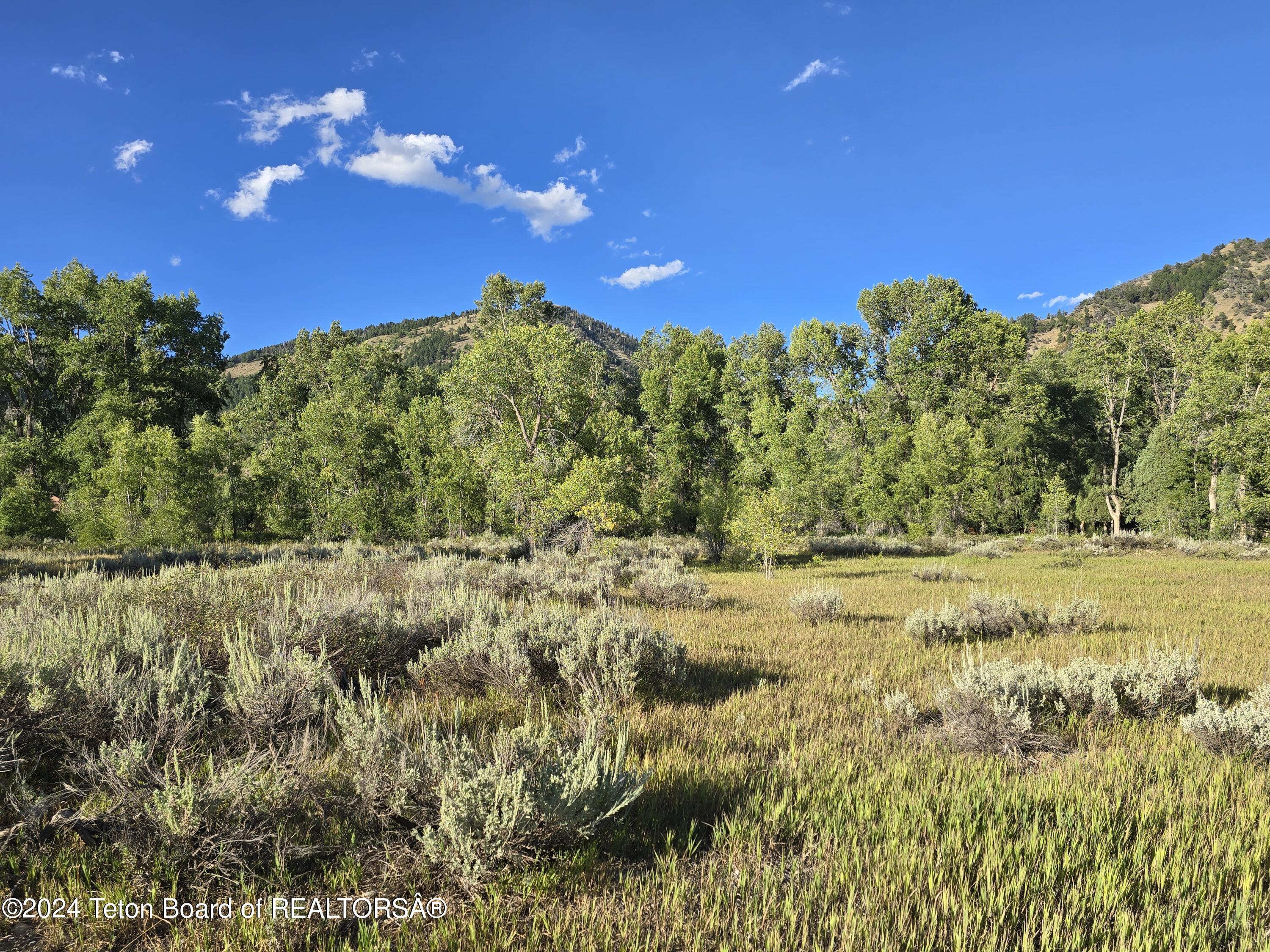 LOT 95 GOLF COURSE - HARDMAN