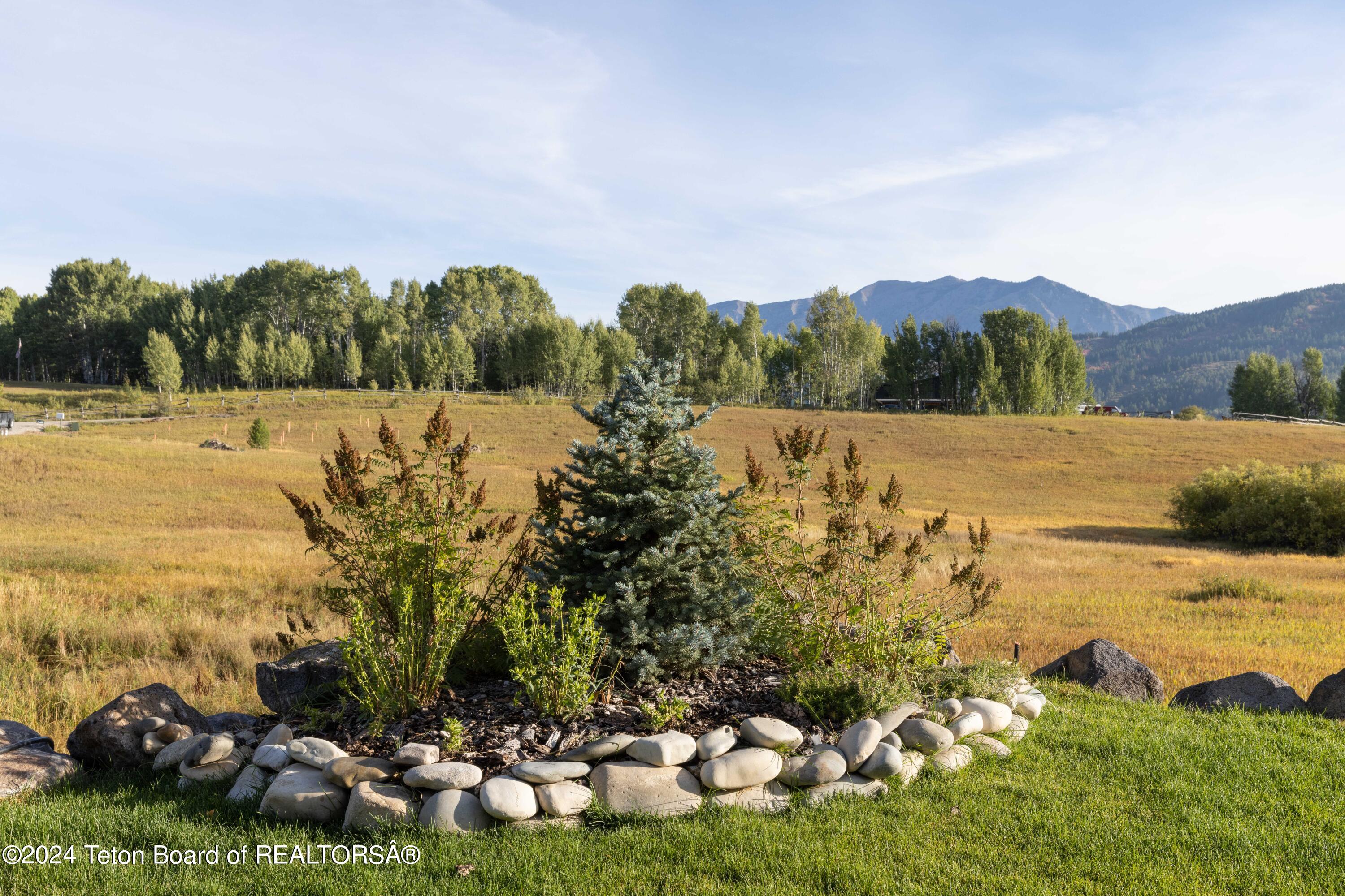 86 CARIBOU FOREST Drive