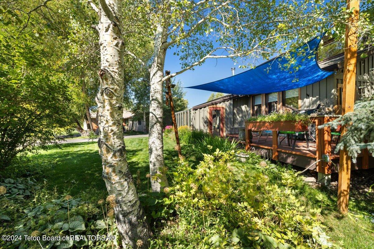 1265 W BULL RAKE Drive