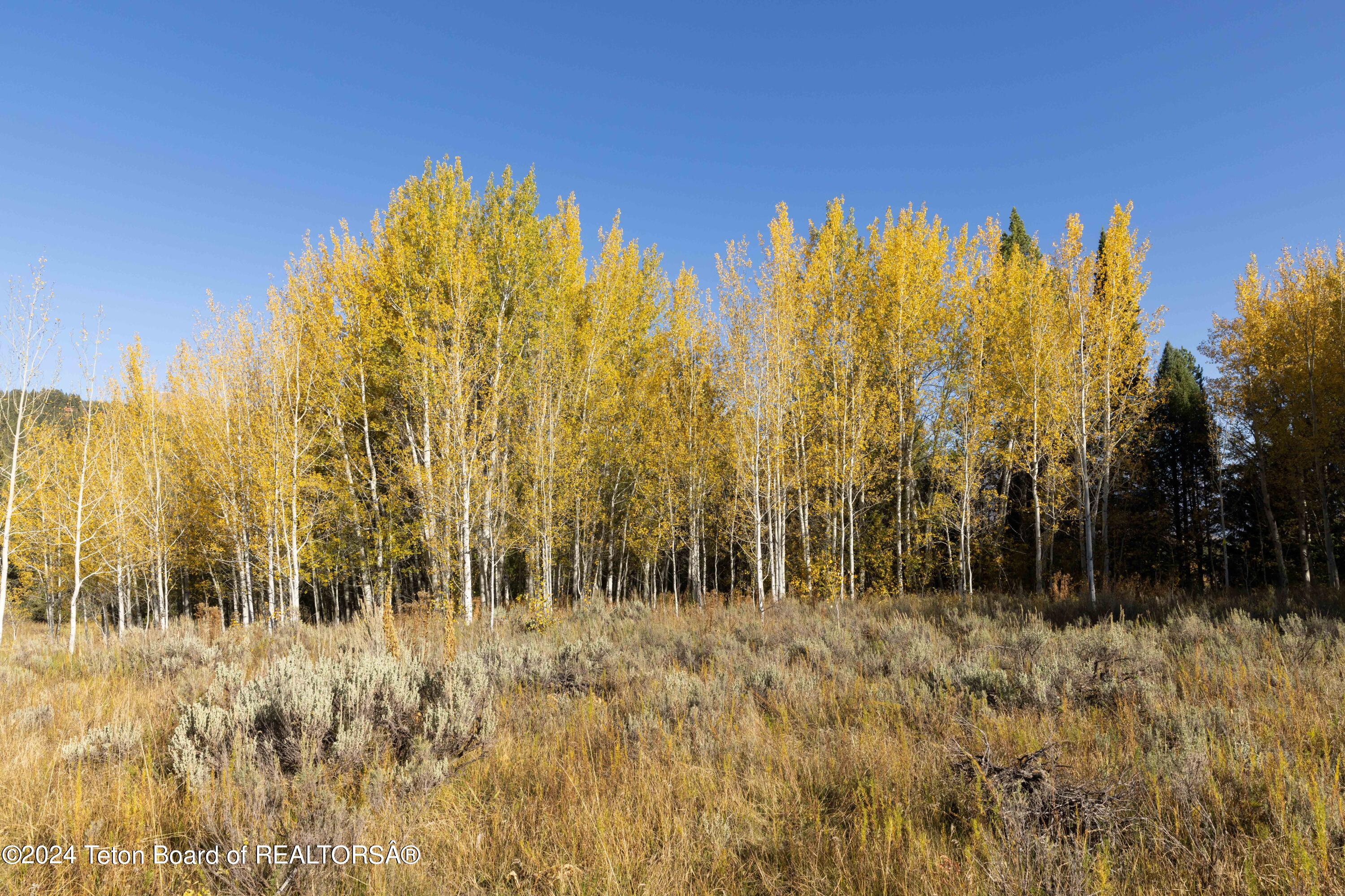 1002 S FALL CREEK Road