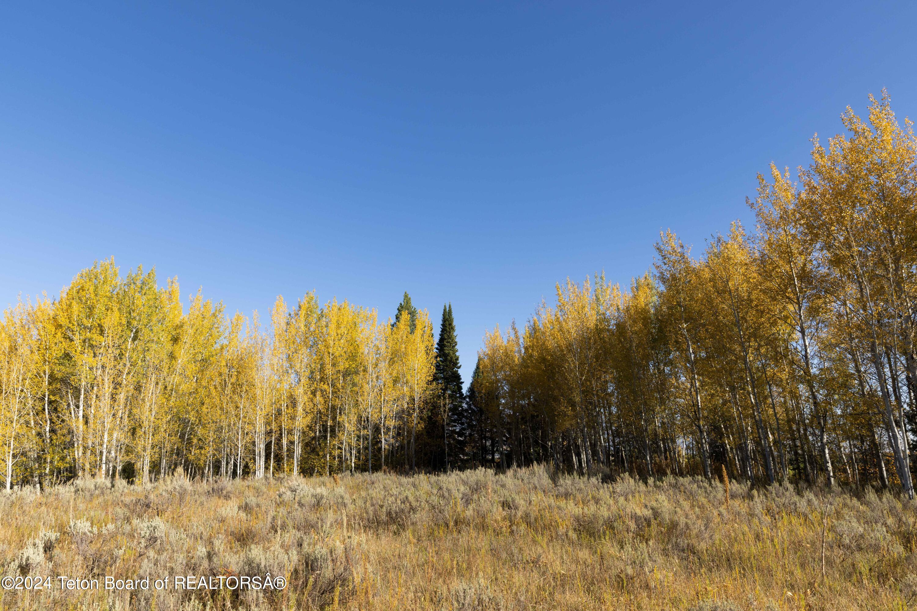 1002 S FALL CREEK Road