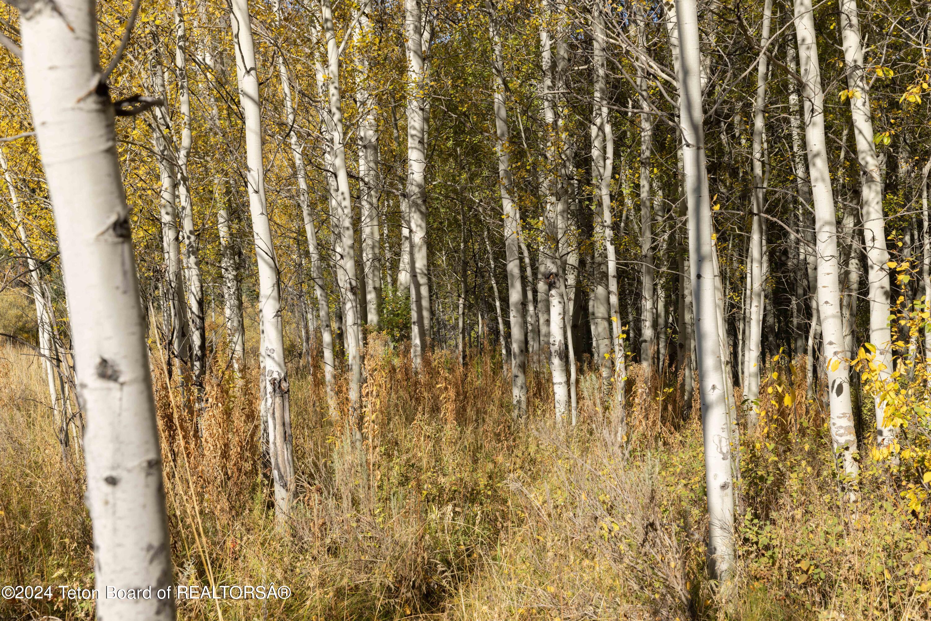 1002 S FALL CREEK Road