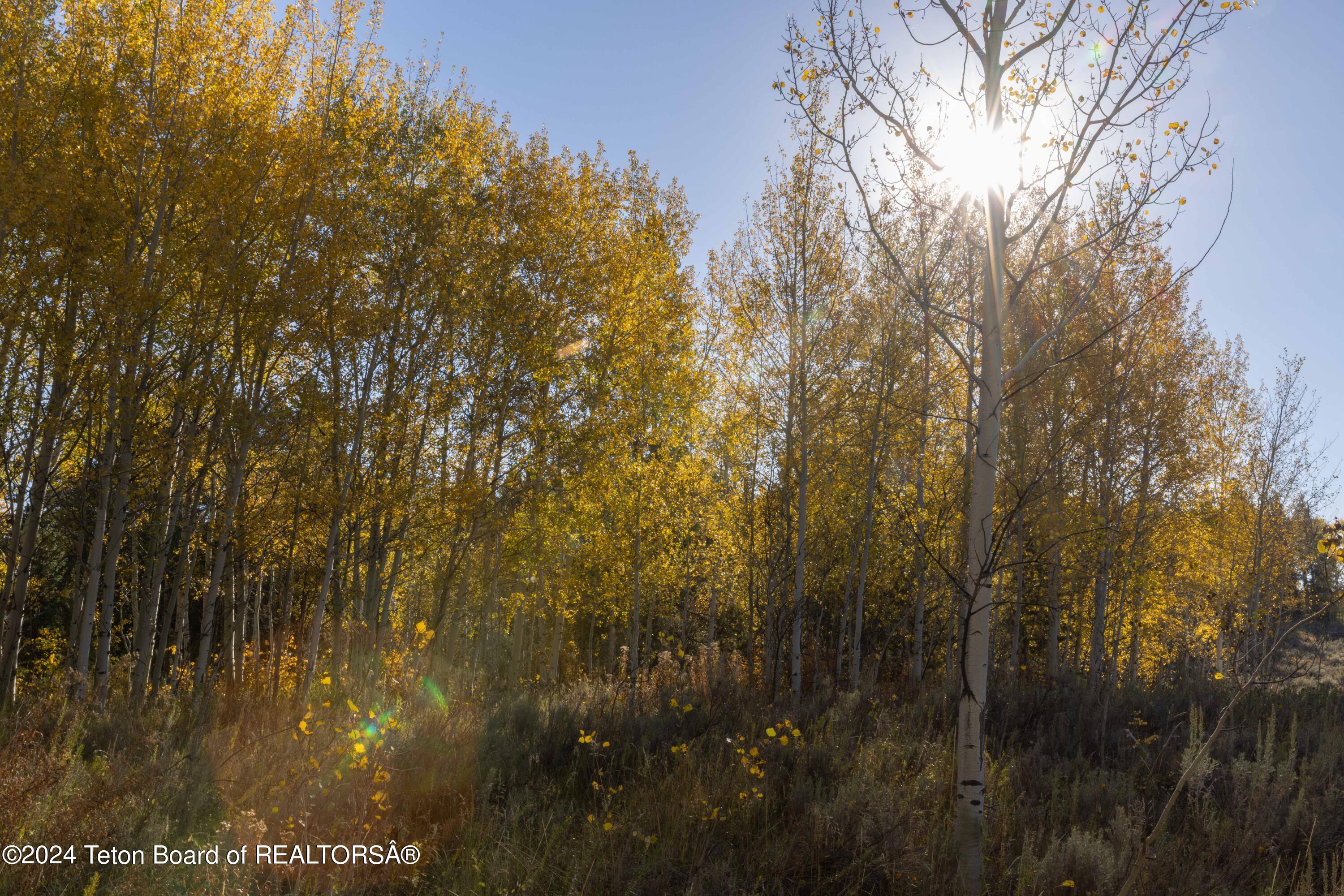 1002 S FALL CREEK Road