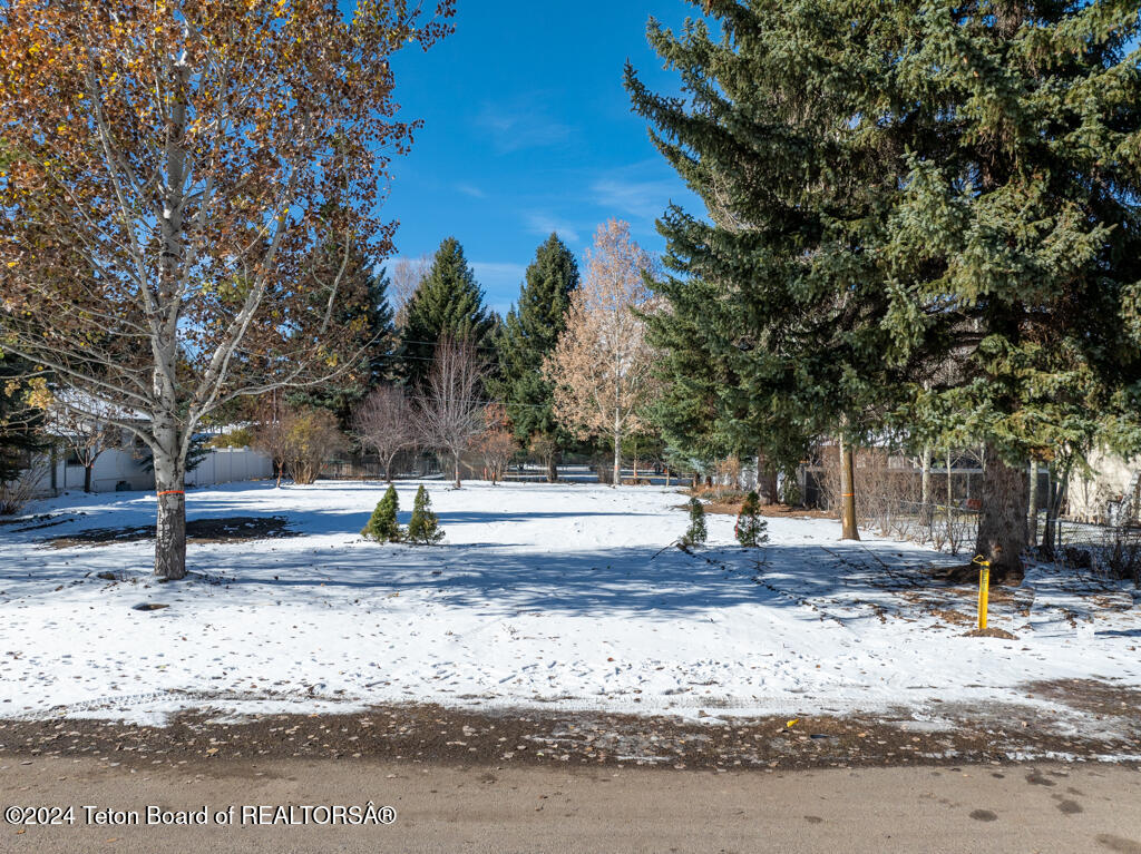 175 N GROS VENTRE Street