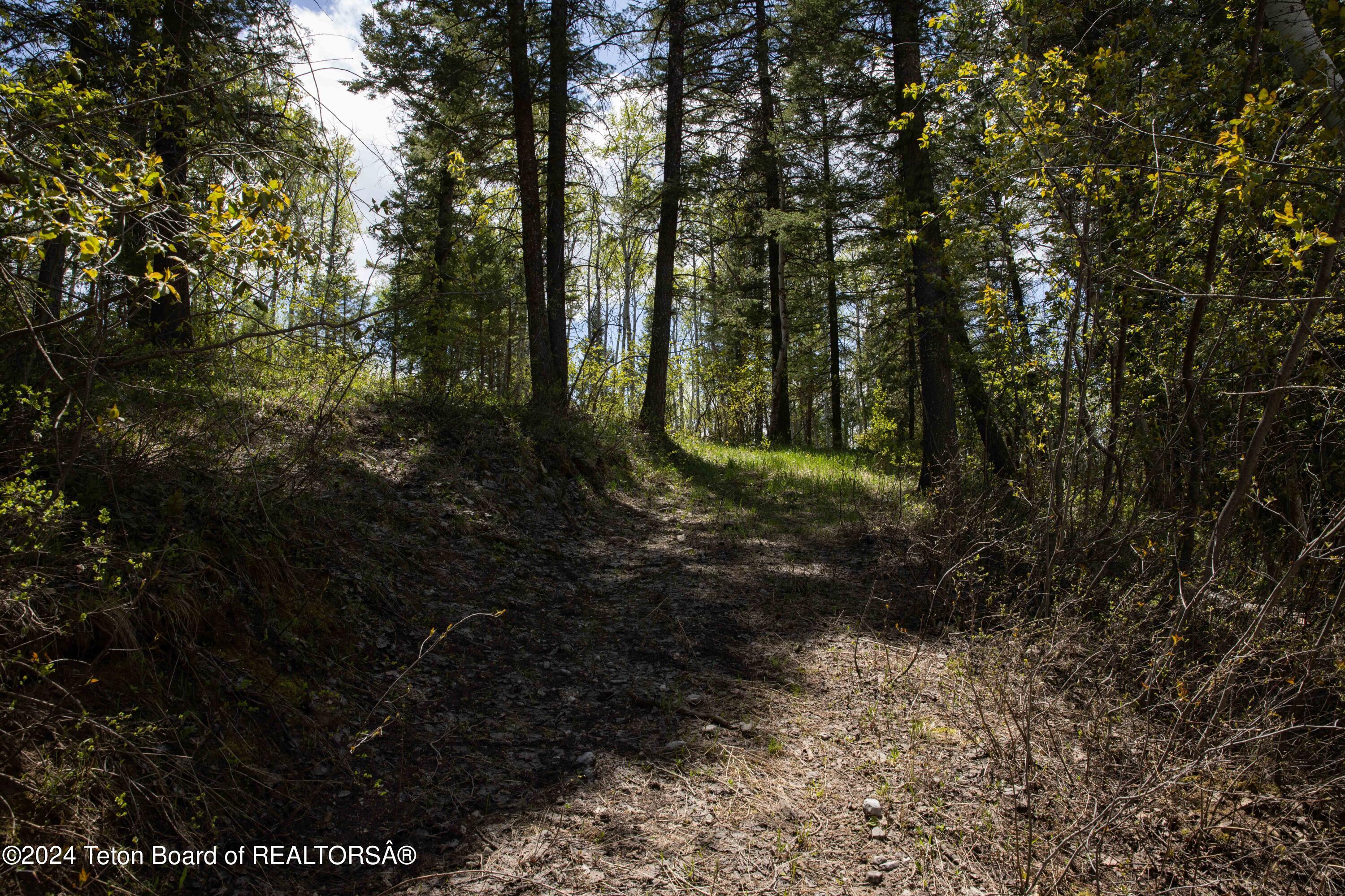 LOT 31/32 NORTH FOREST Drive