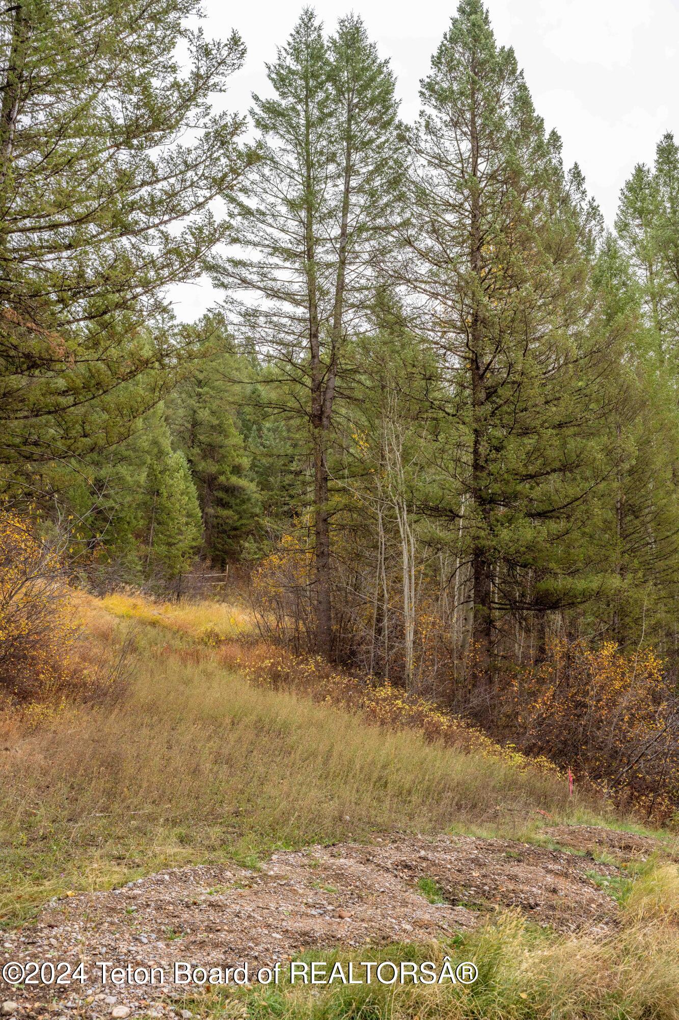 LOT 24 TRAIL RIDGE Road