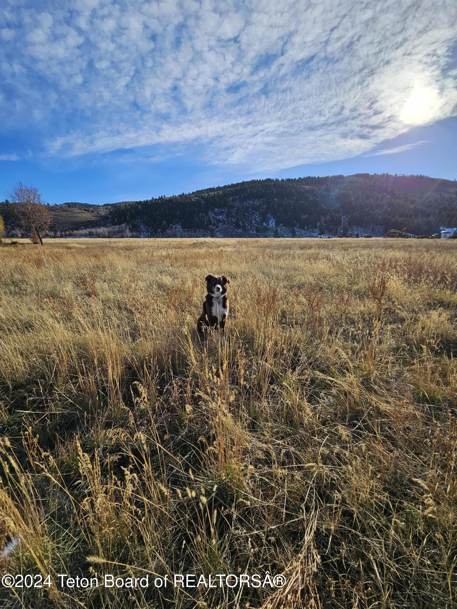 6412 E TRUMPET SWAN Circle