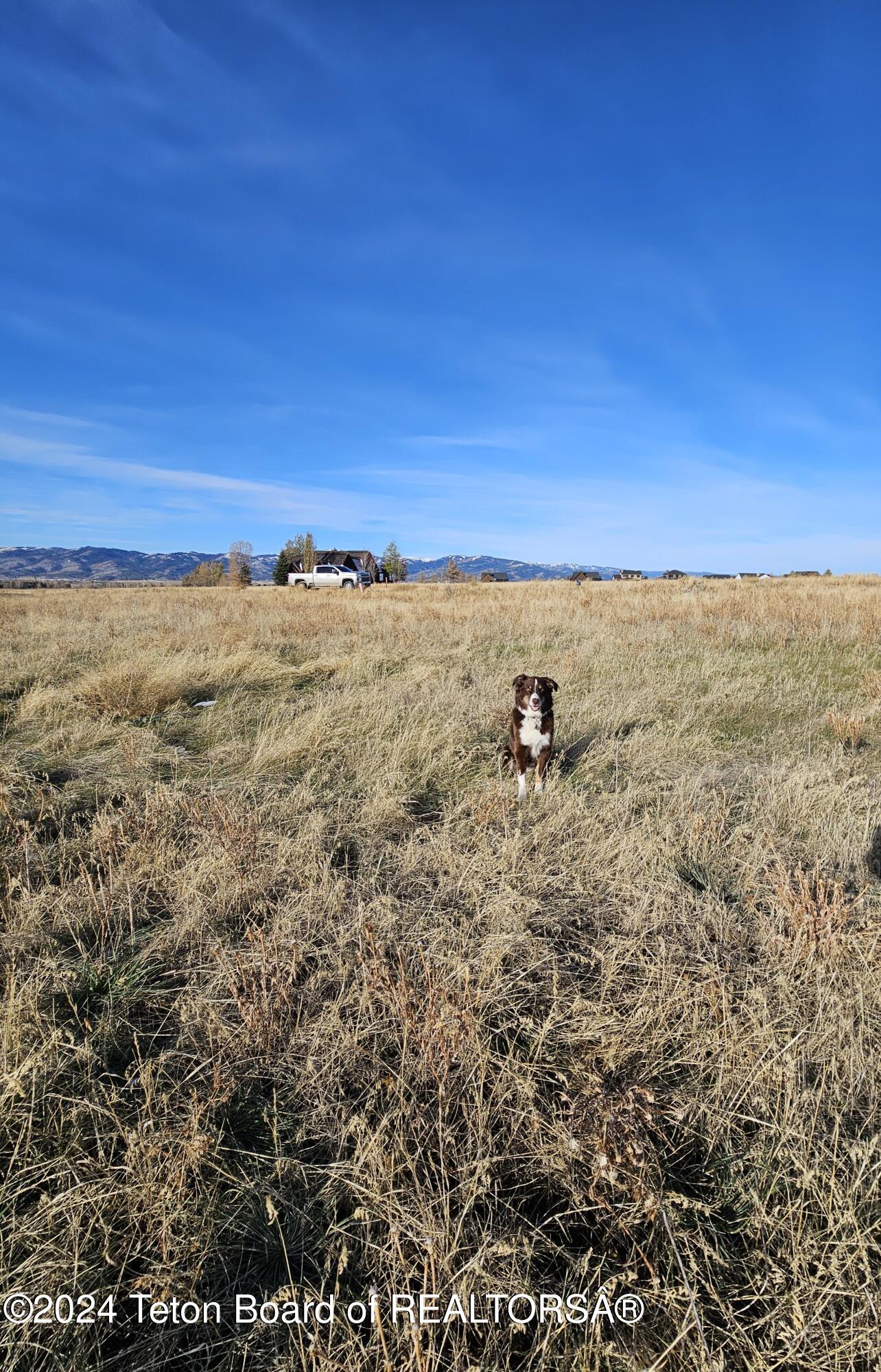 6412 E TRUMPET SWAN Circle