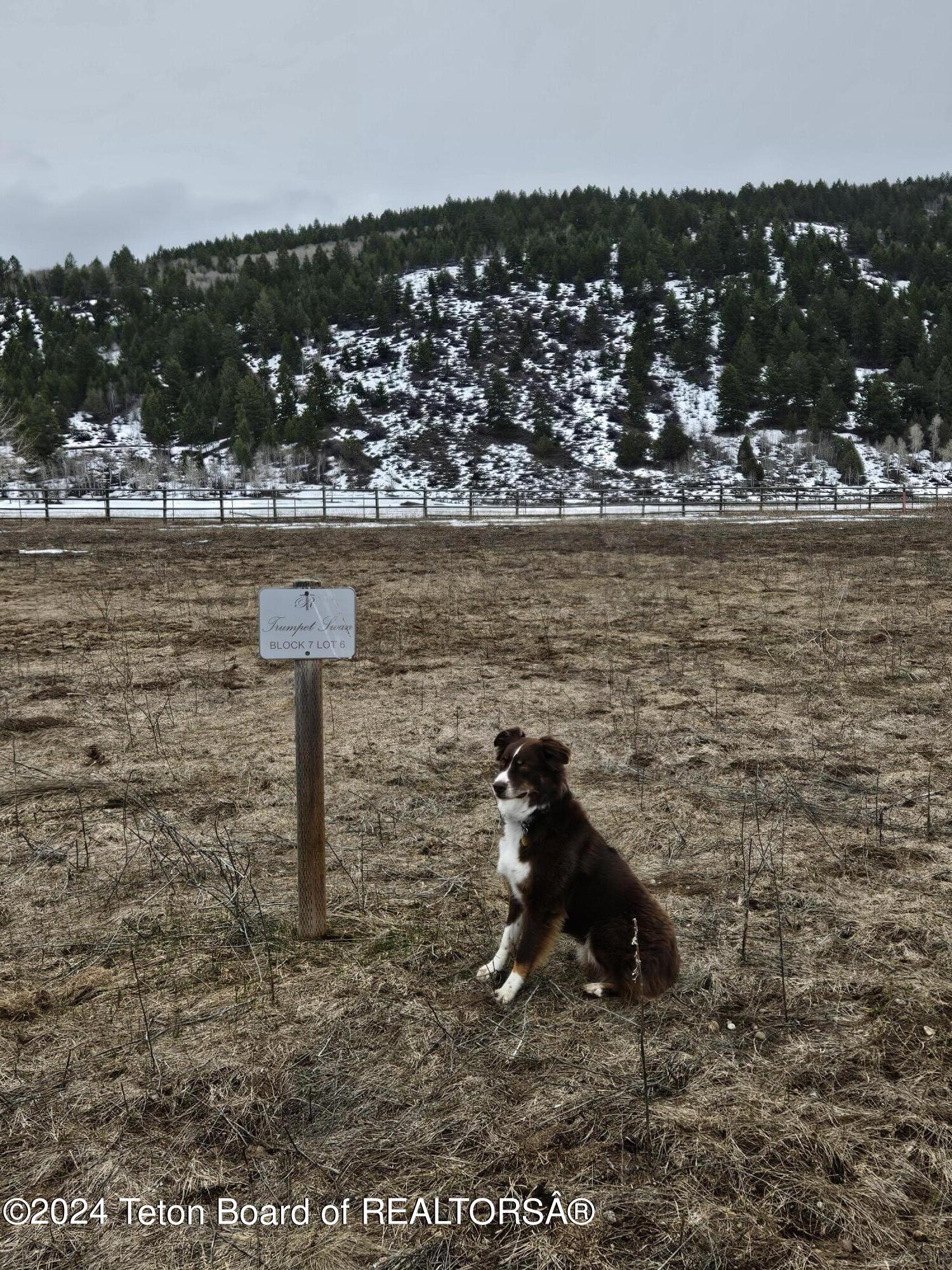 6403 BLACK SWAN Circle