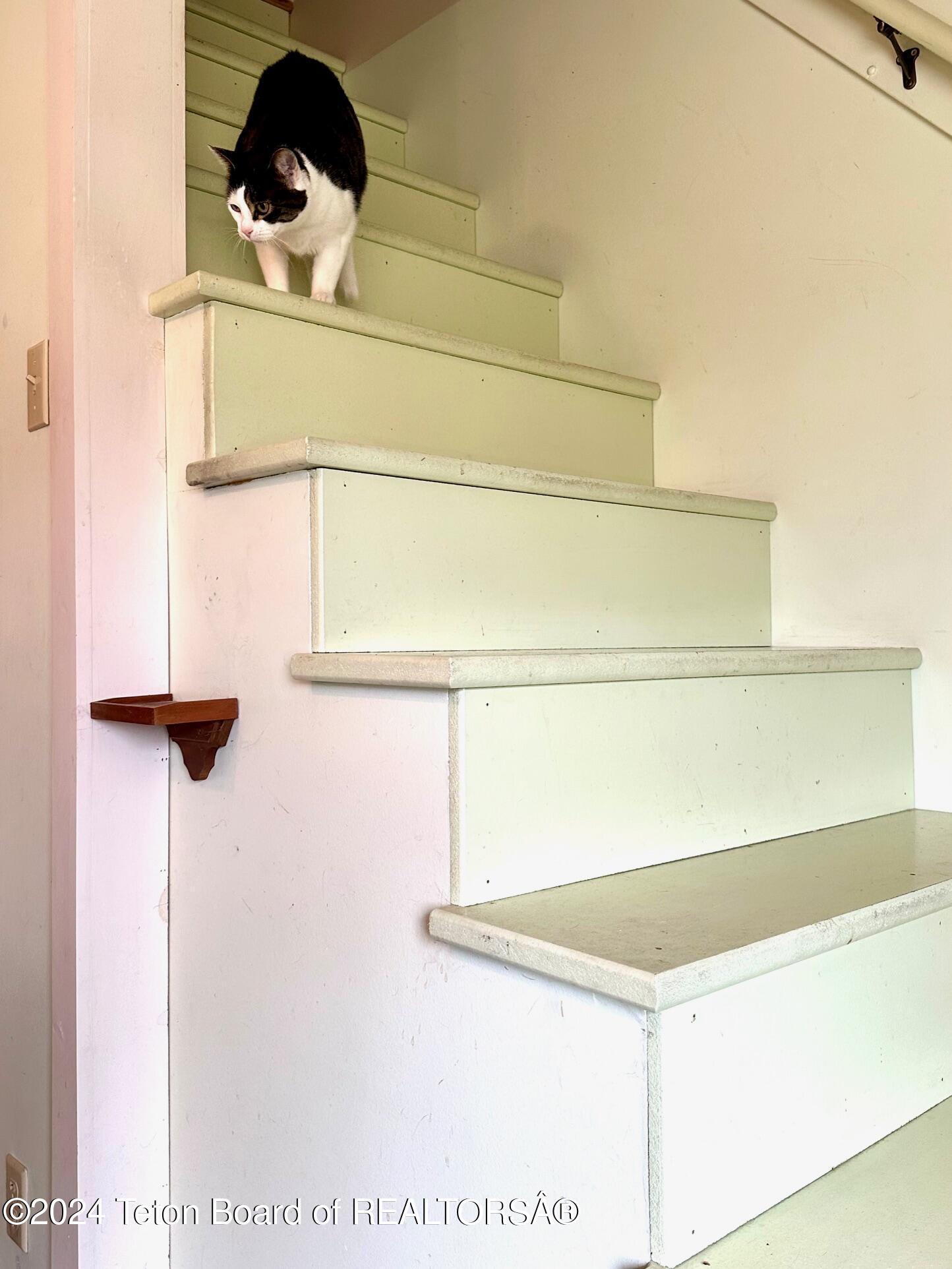 697 TOMS CANYON ROAD