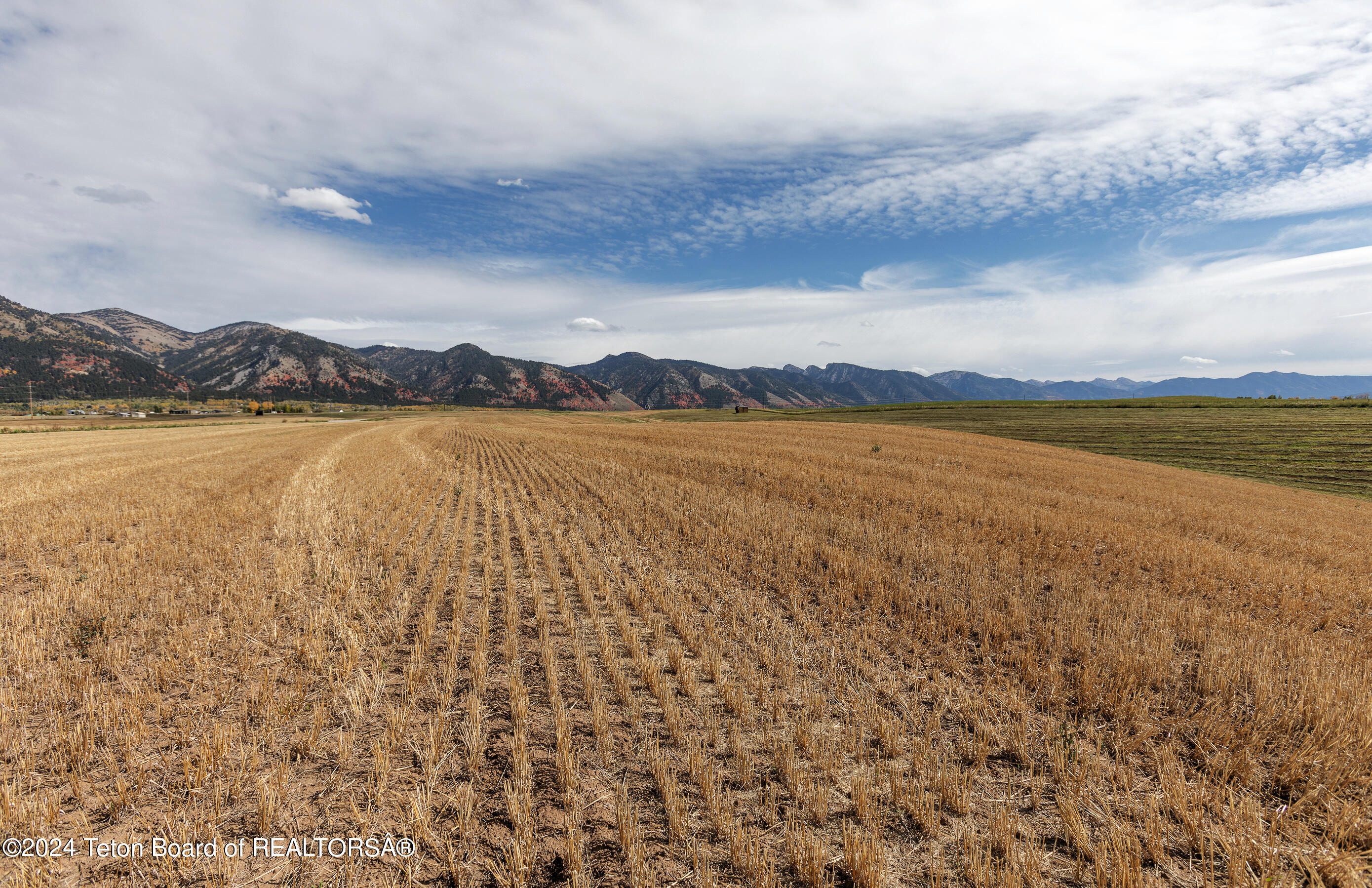 LOT 3 DICK CASULL LOOP