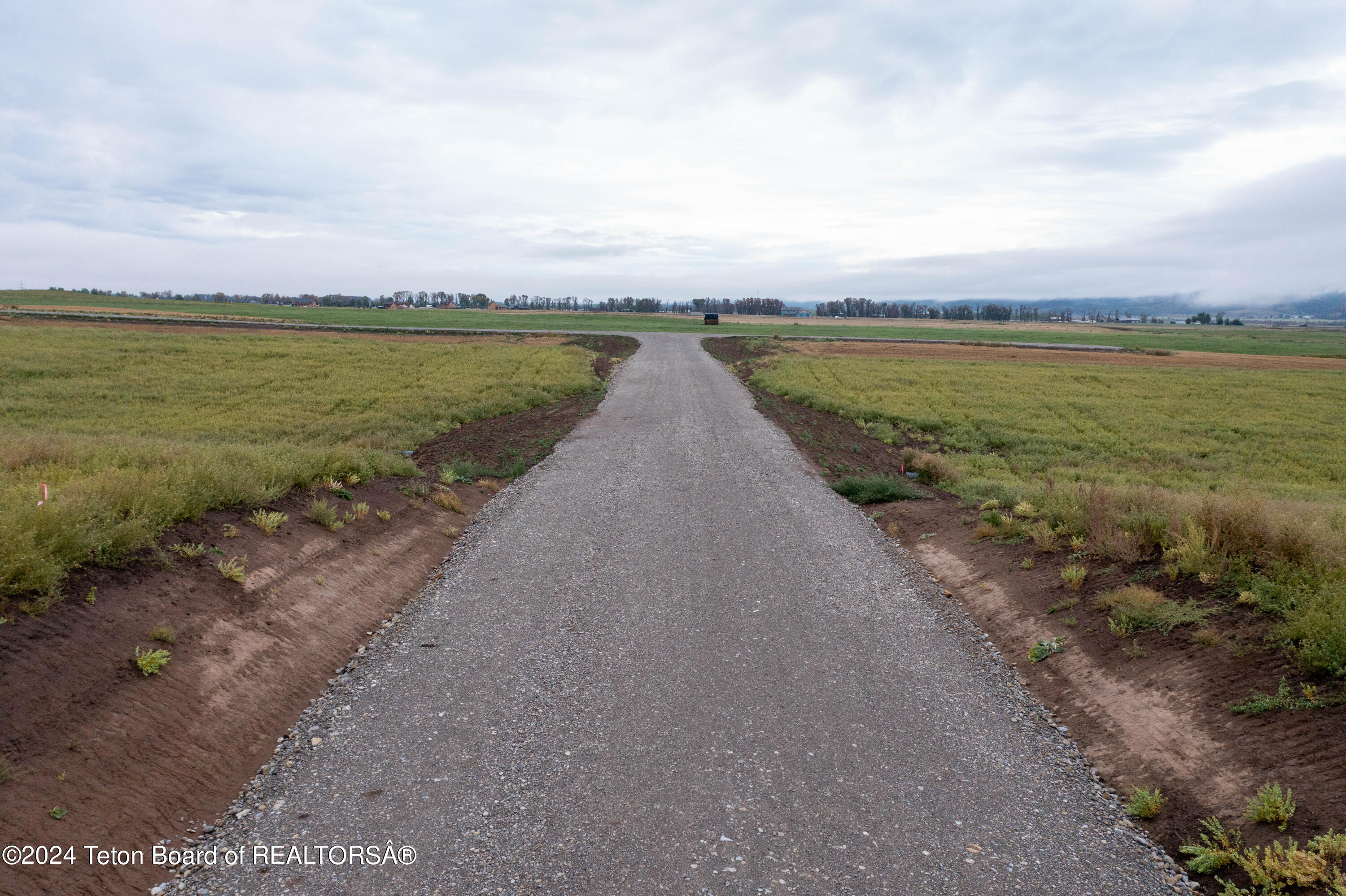 LOT 3 DICK CASULL LOOP