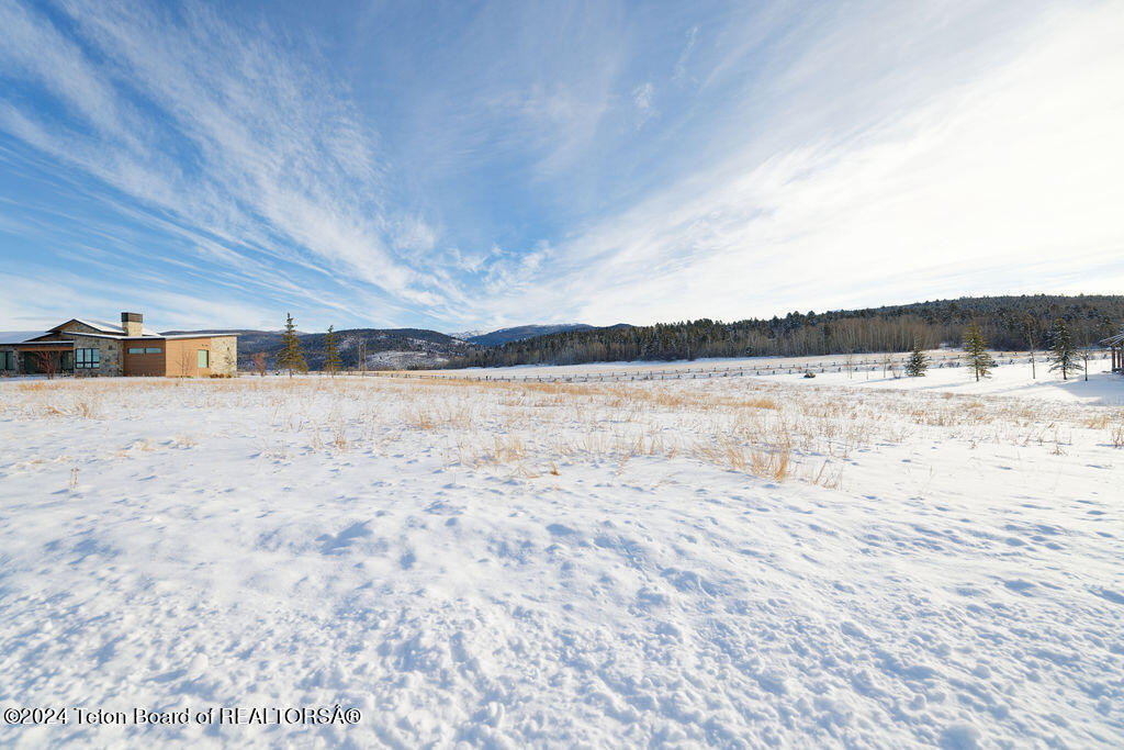 41 TARGHEE Trail