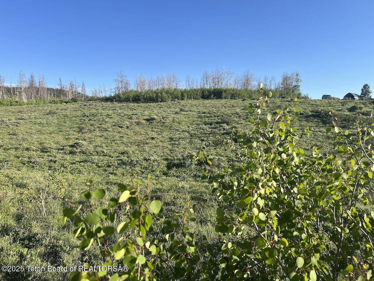 TBD VISTA RIDGE LANE