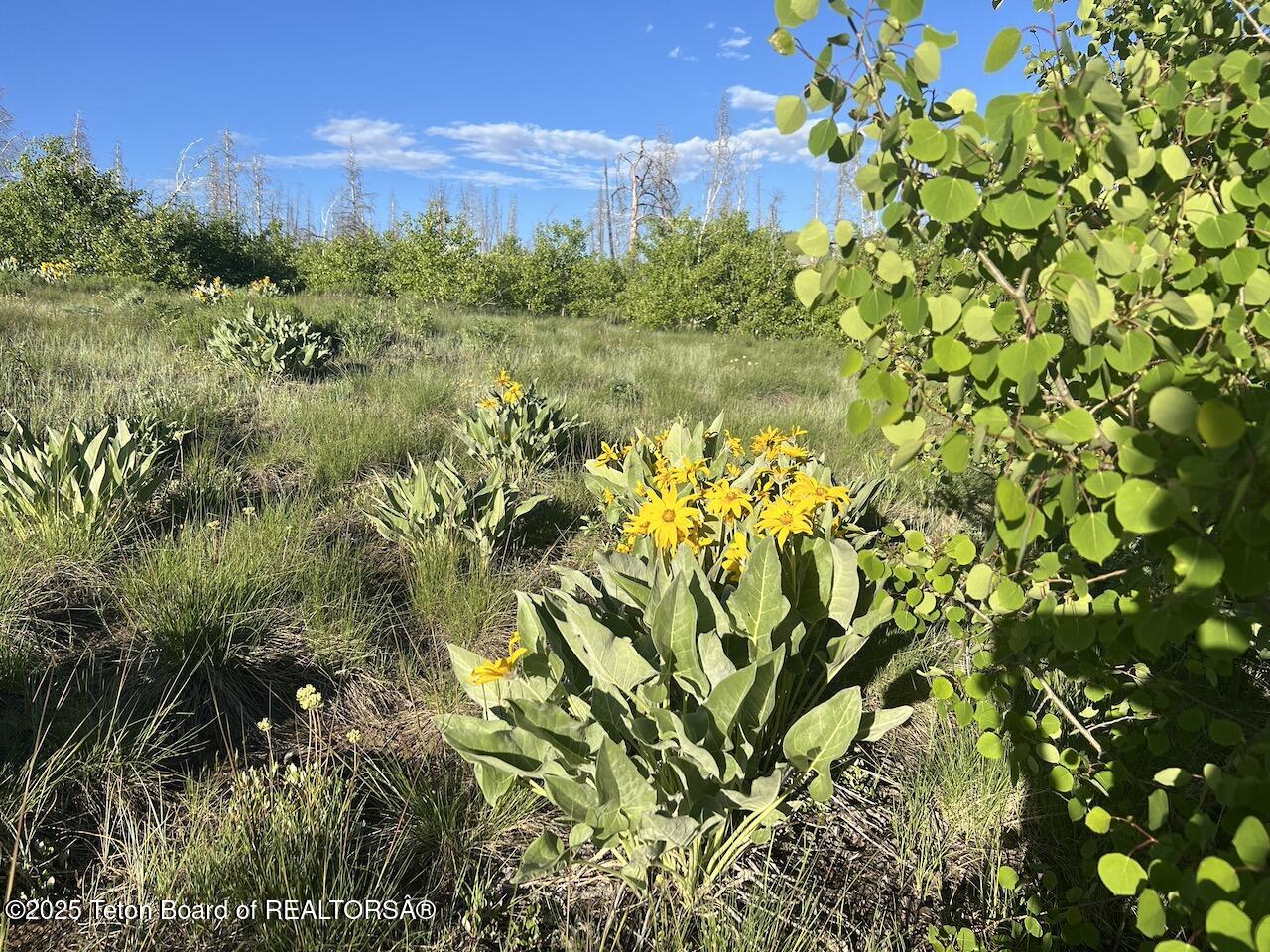 TBD VISTA RIDGE LANE