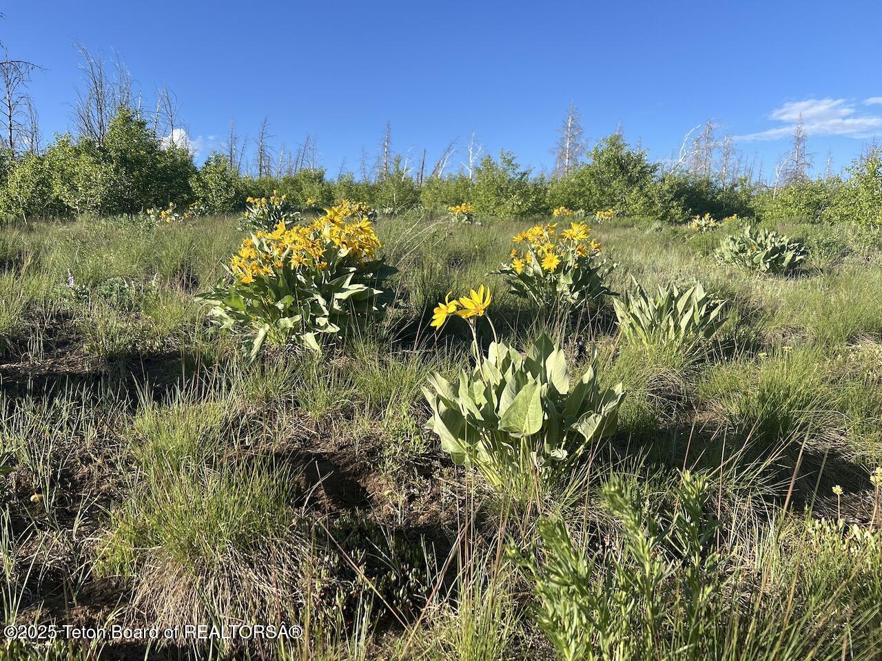 TBD VISTA RIDGE LANE