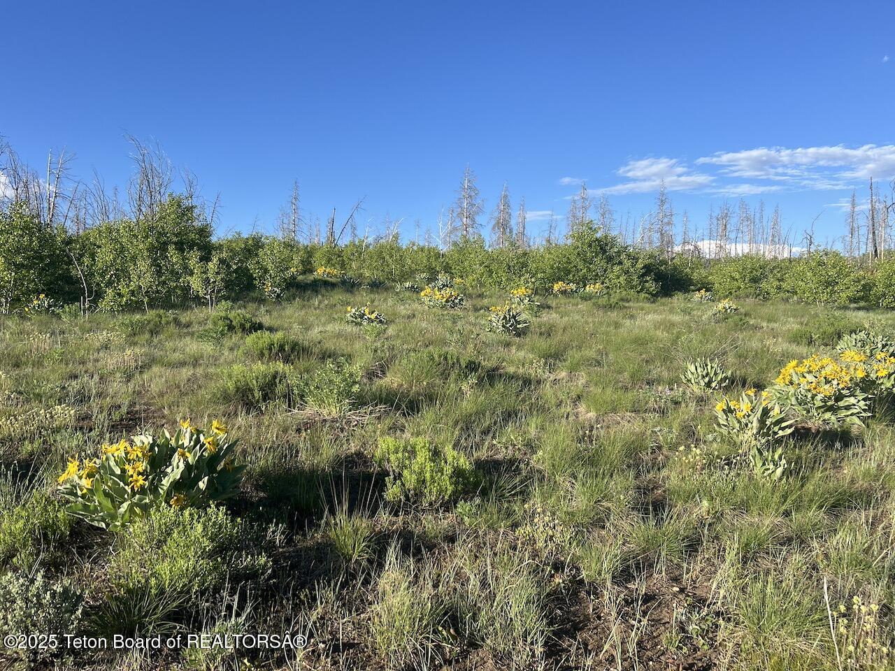 TBD VISTA RIDGE LANE