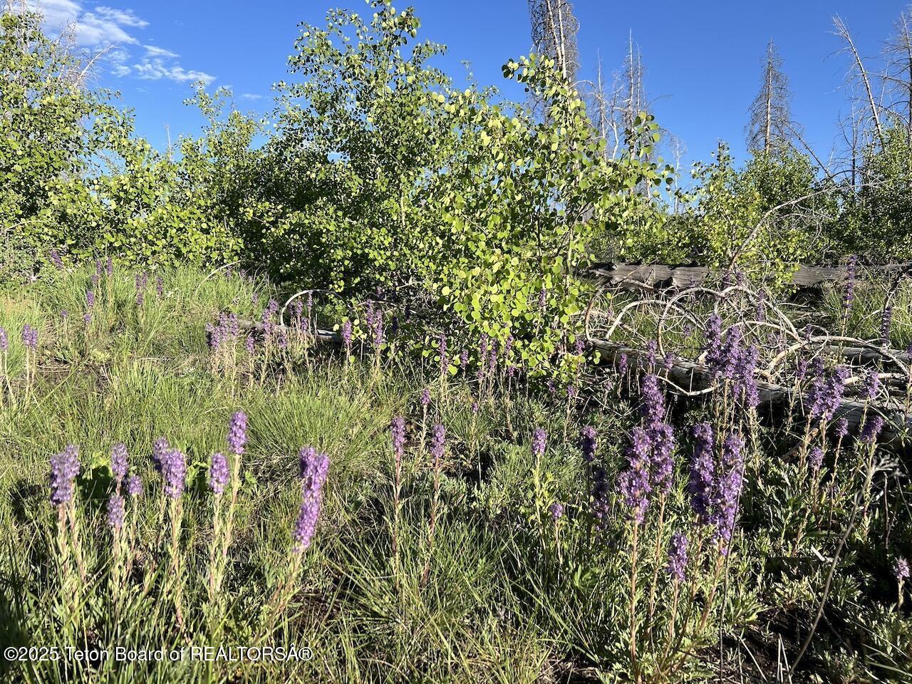 TBD VISTA RIDGE LANE