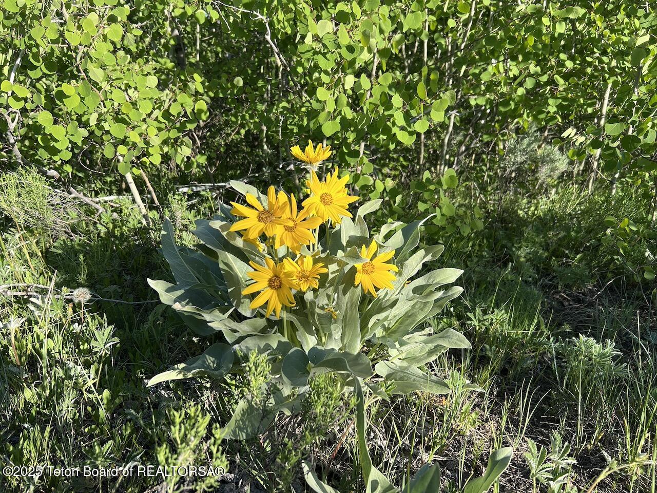 TBD VISTA RIDGE LANE