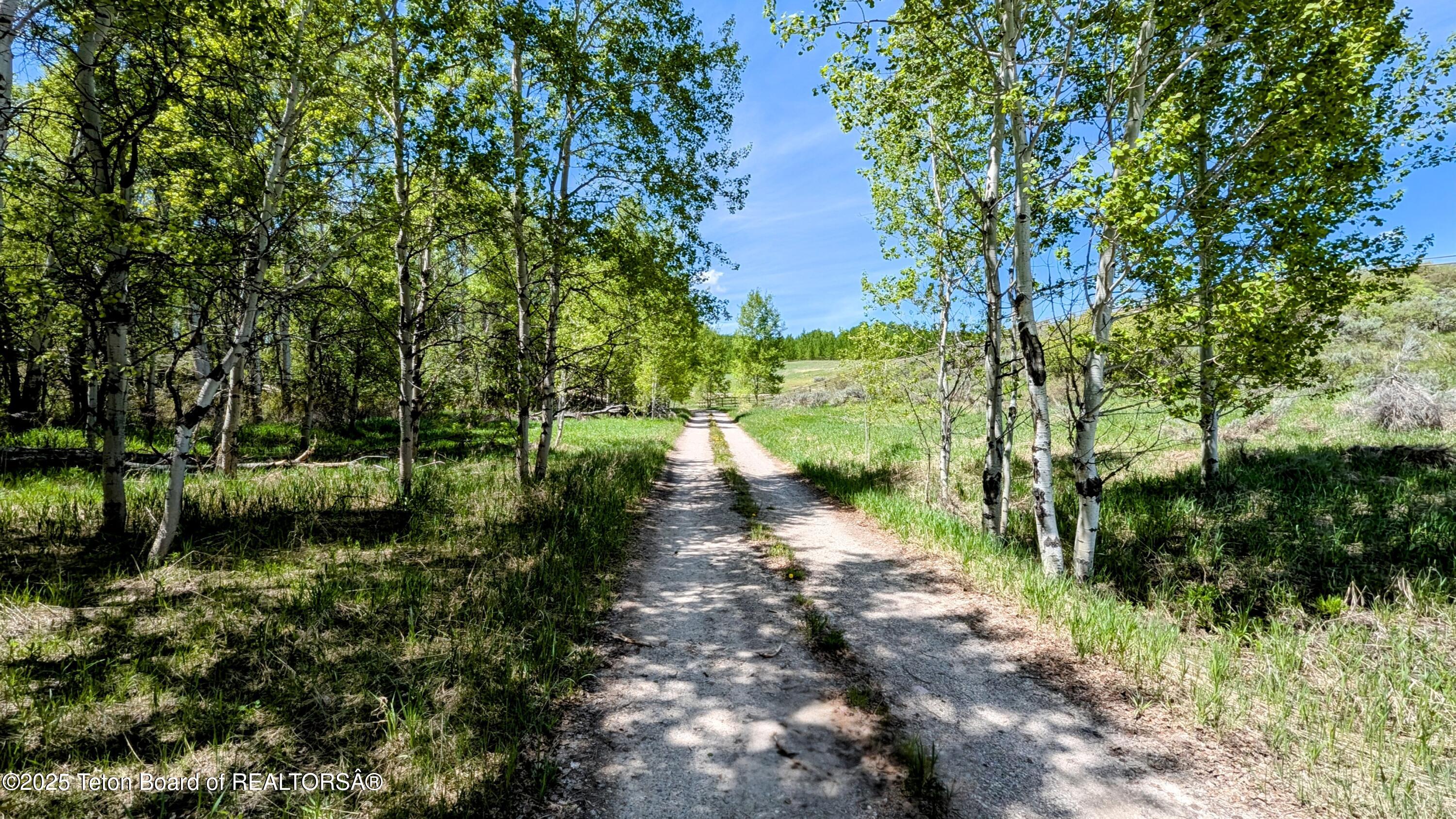 10559 RAMMELL MOUNTAIN Road