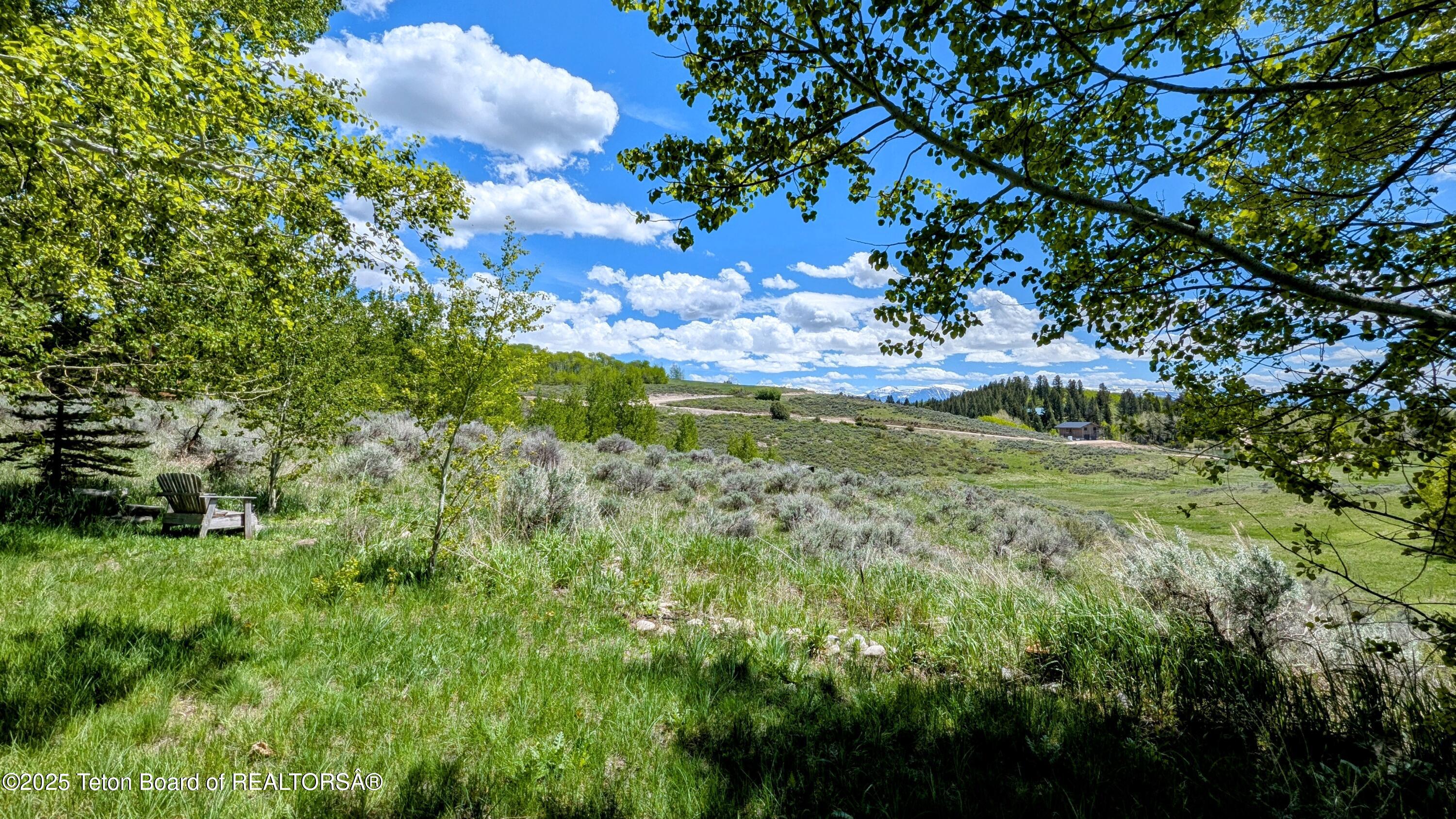 10559 RAMMELL MOUNTAIN Road