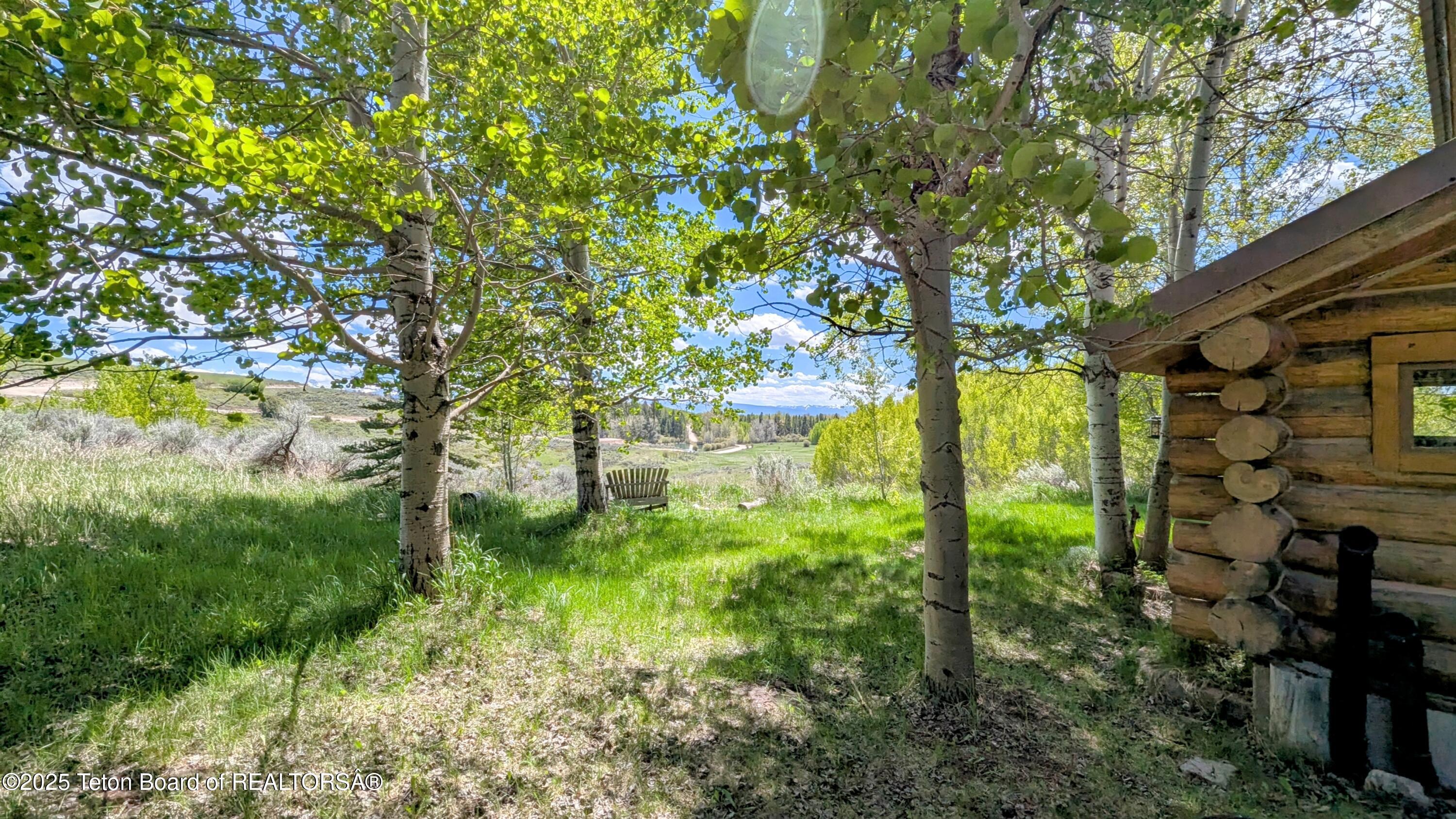 10559 RAMMELL MOUNTAIN Road