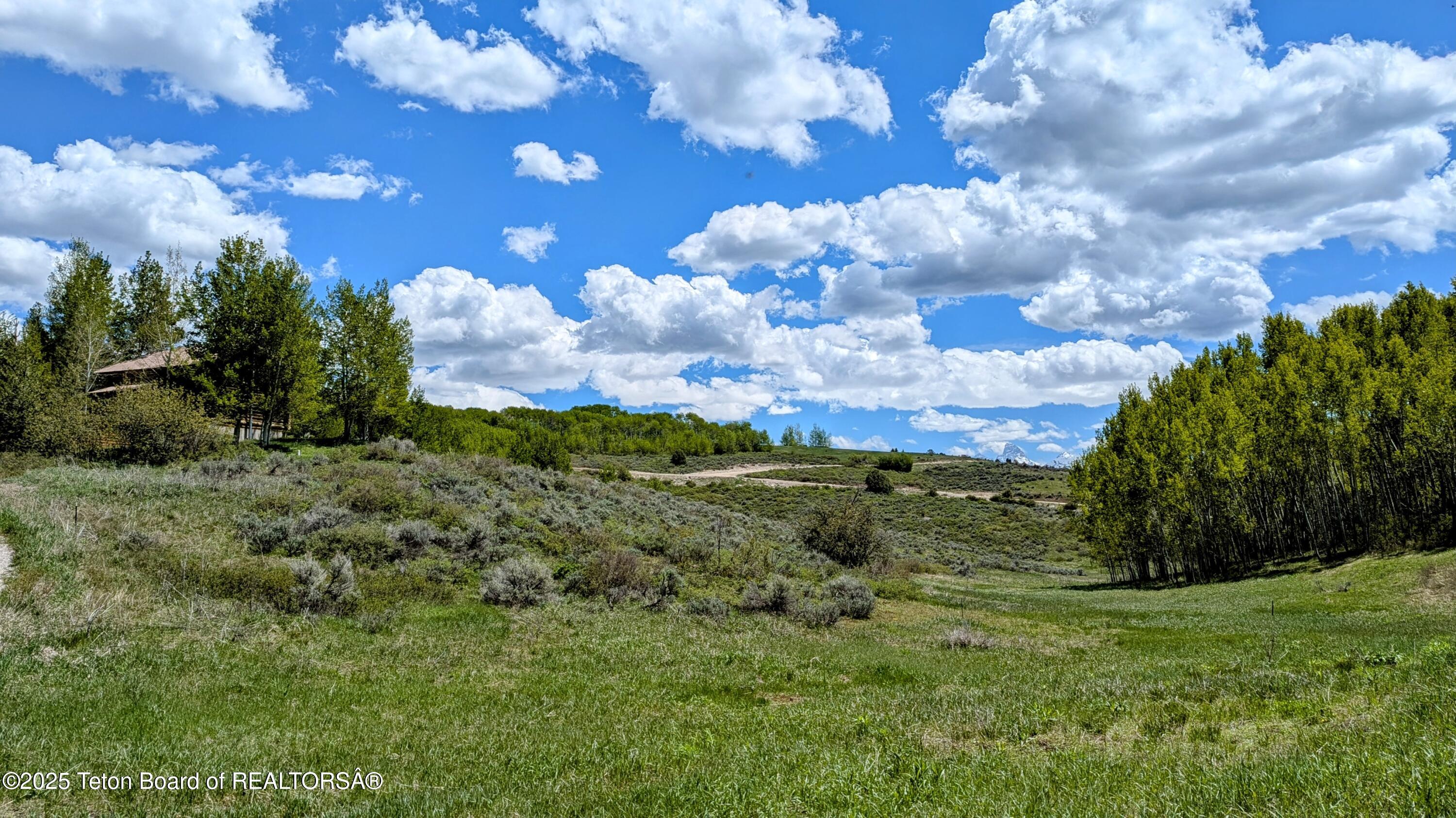 10559 RAMMELL MOUNTAIN Road