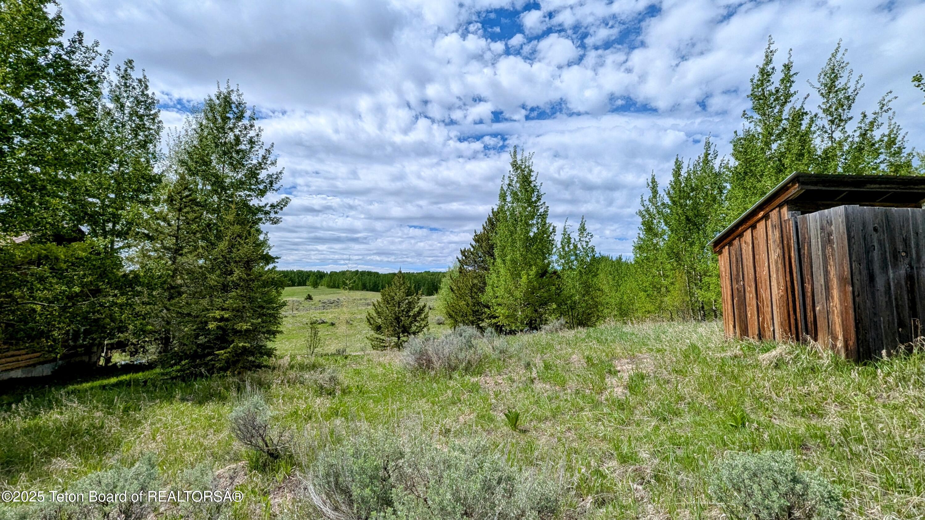 10559 RAMMELL MOUNTAIN Road