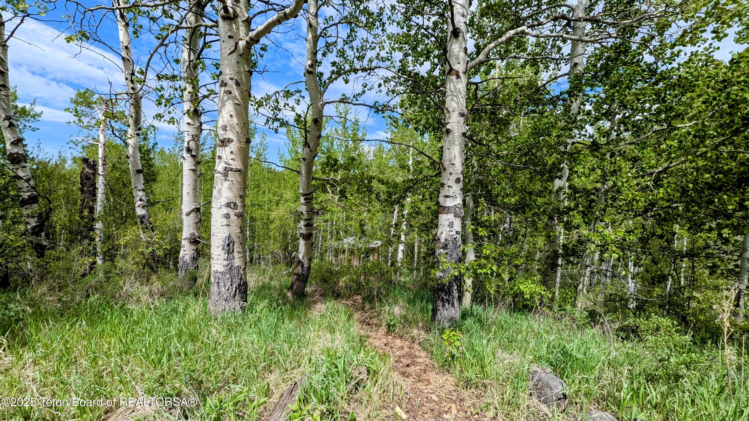 10559 RAMMELL MOUNTAIN Road