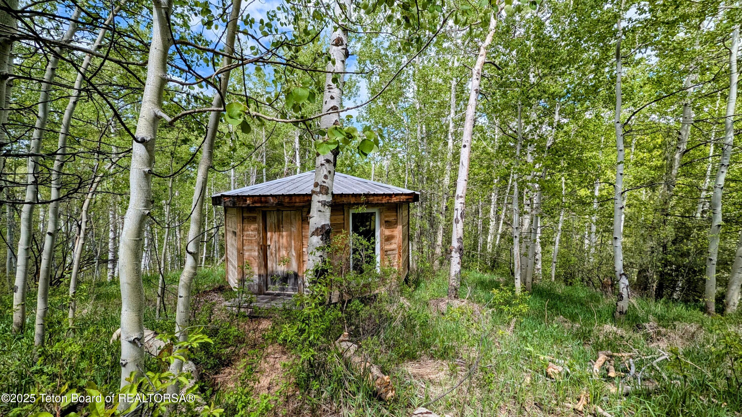 10559 RAMMELL MOUNTAIN Road