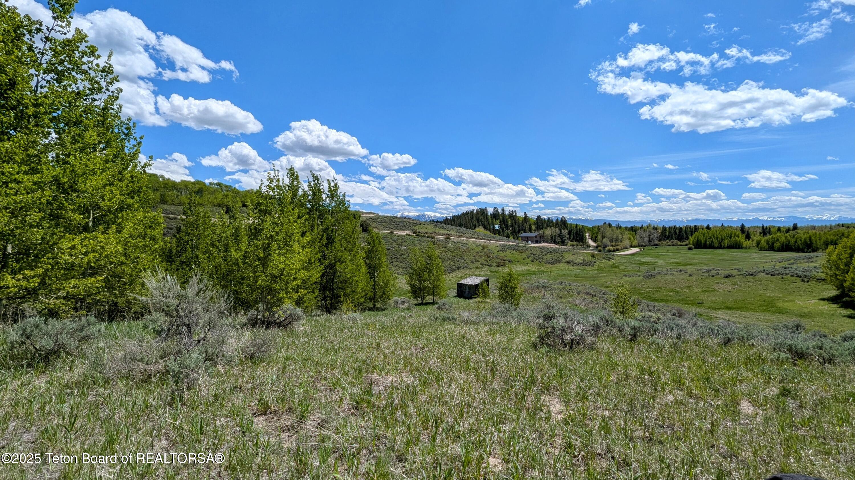 10559 RAMMELL MOUNTAIN Road