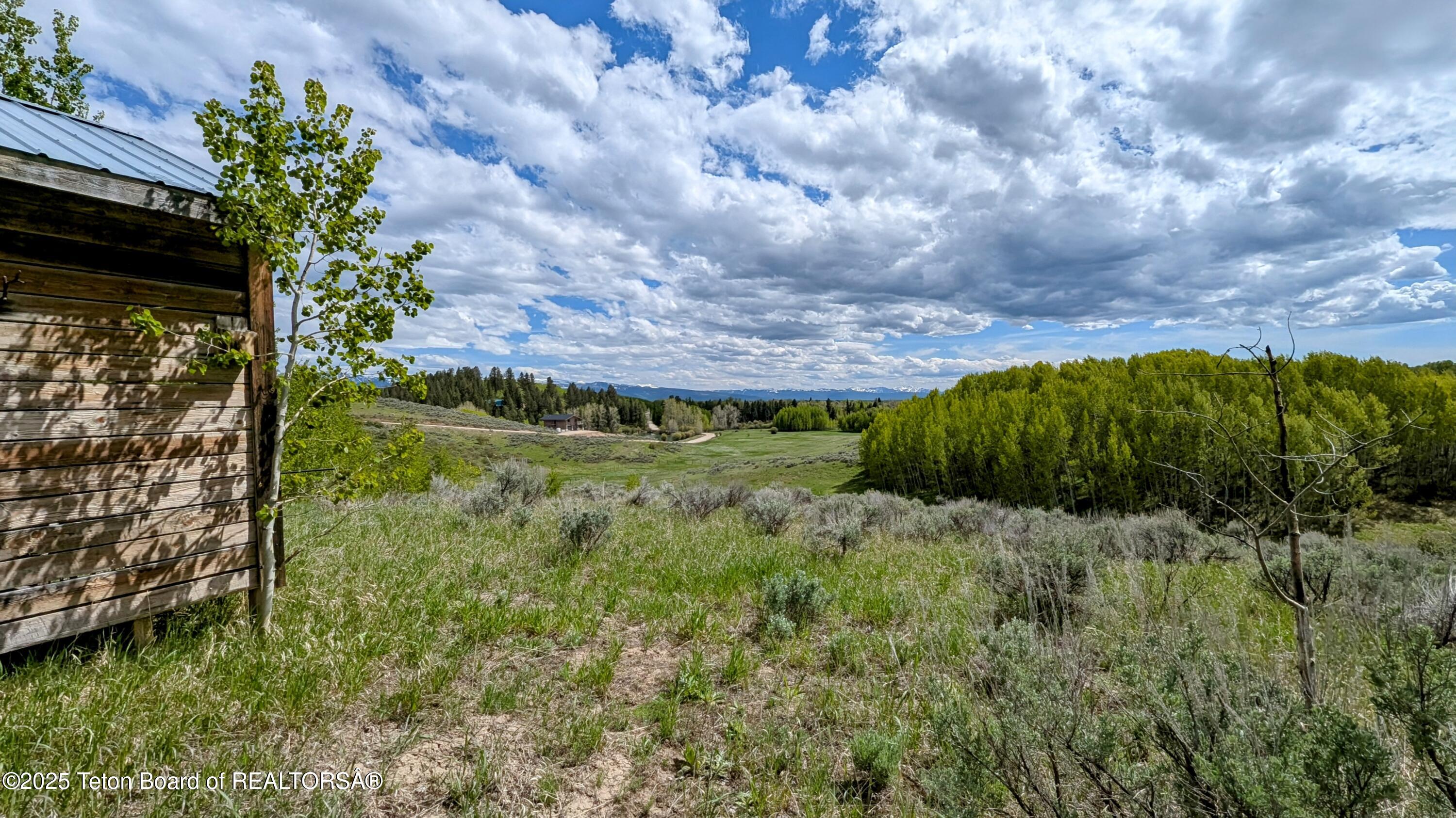 10559 RAMMELL MOUNTAIN Road