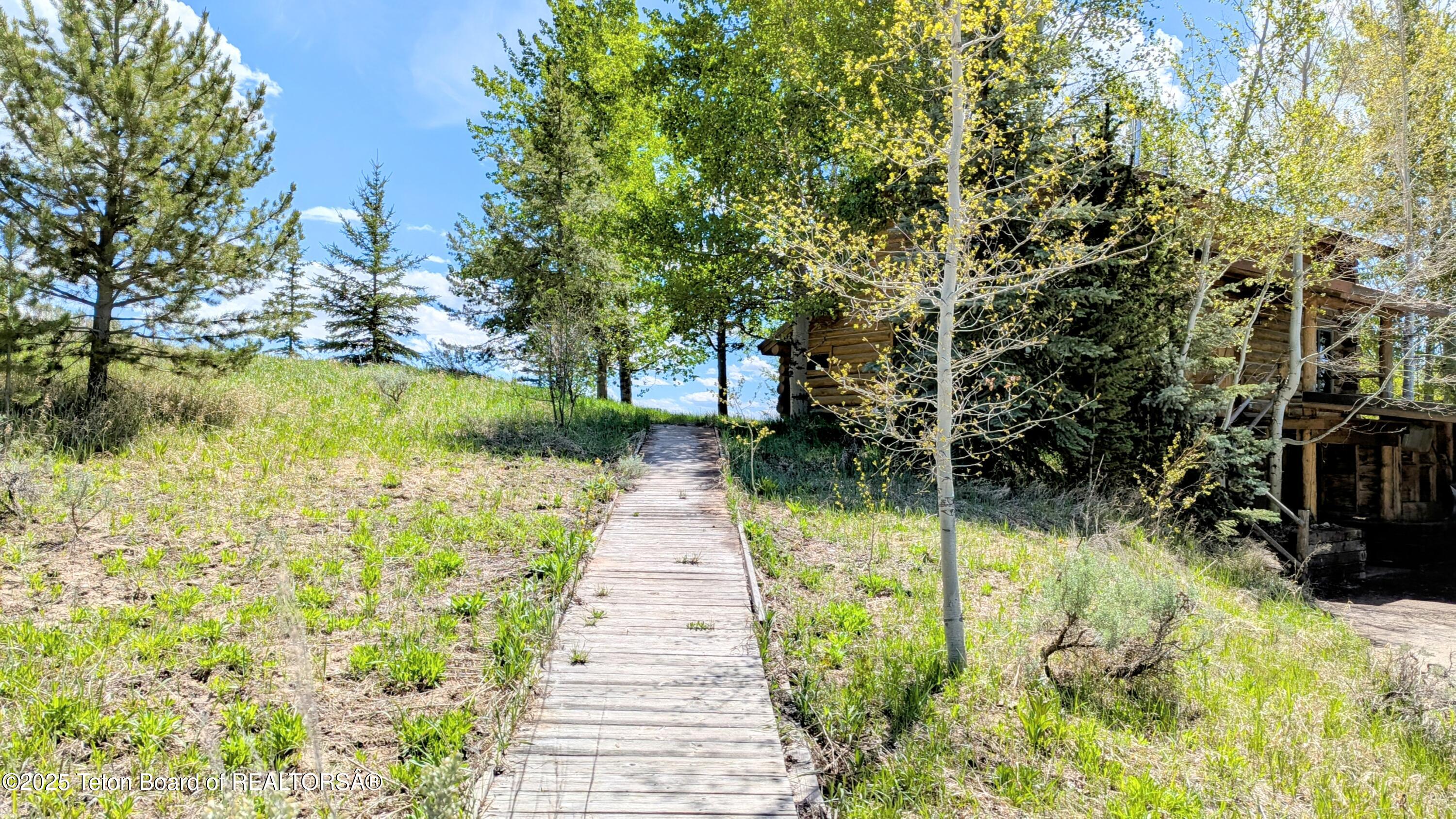 10559 RAMMELL MOUNTAIN Road