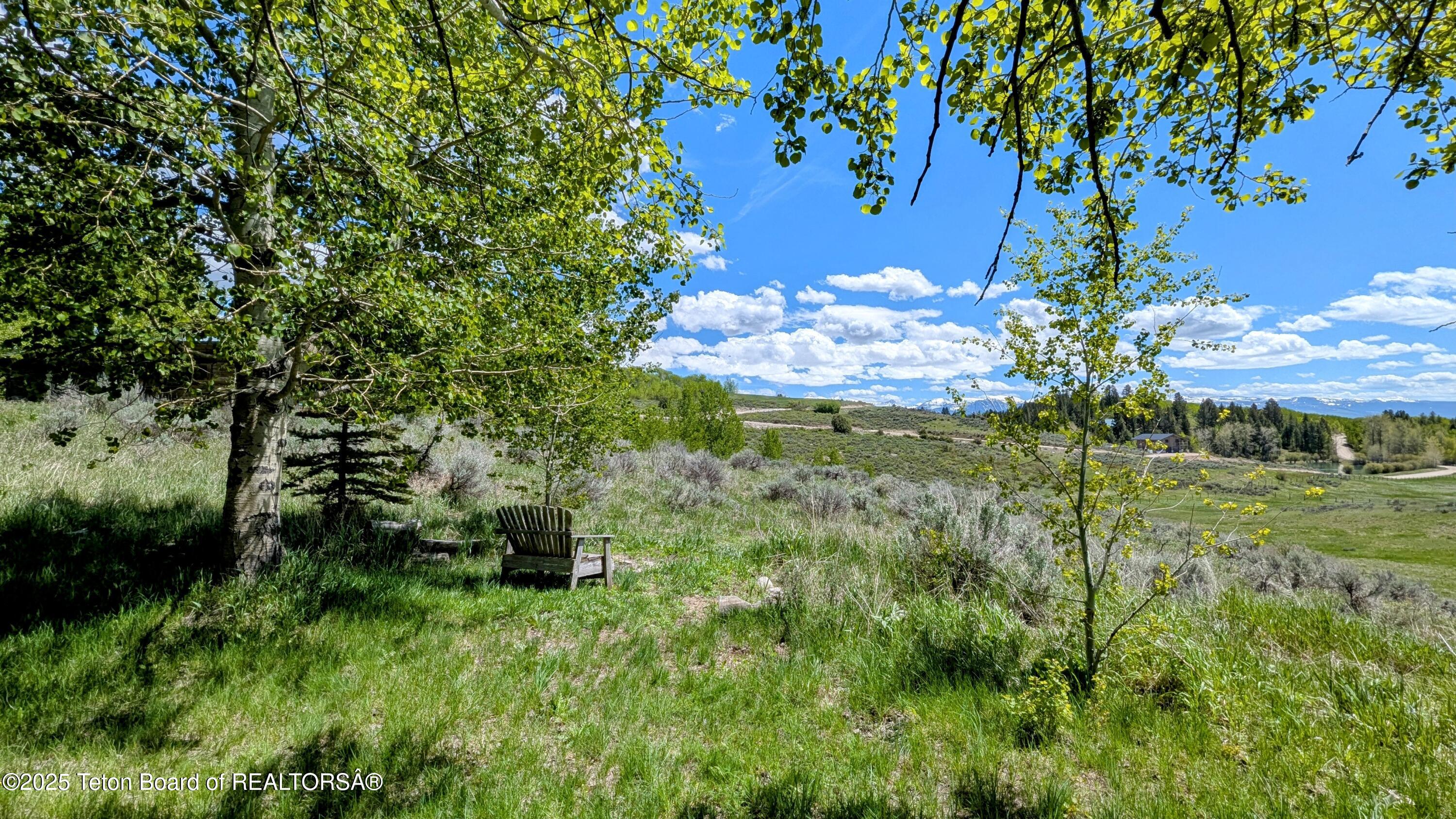 10559 RAMMELL MOUNTAIN Road