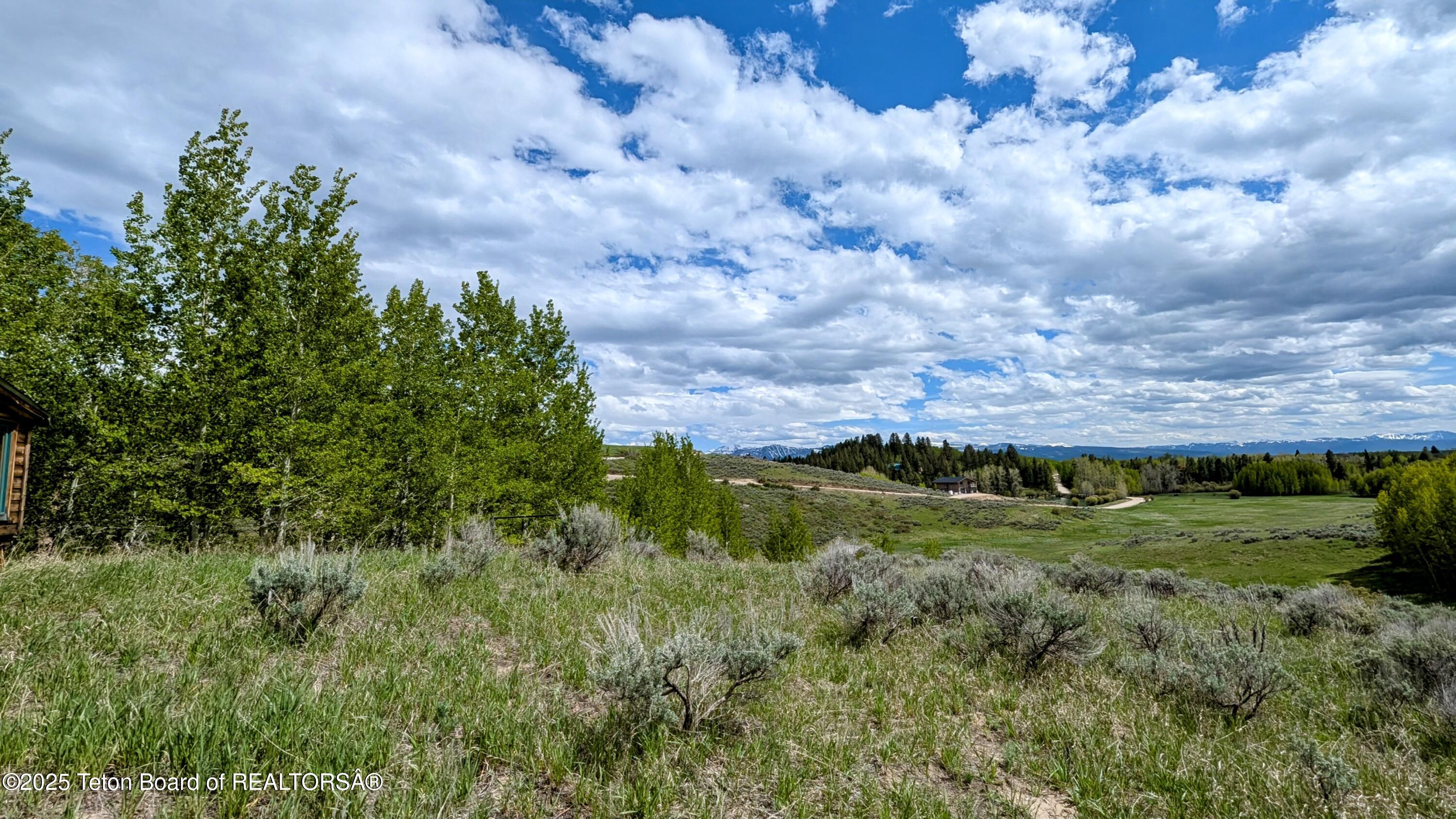 10559 RAMMELL MOUNTAIN Road