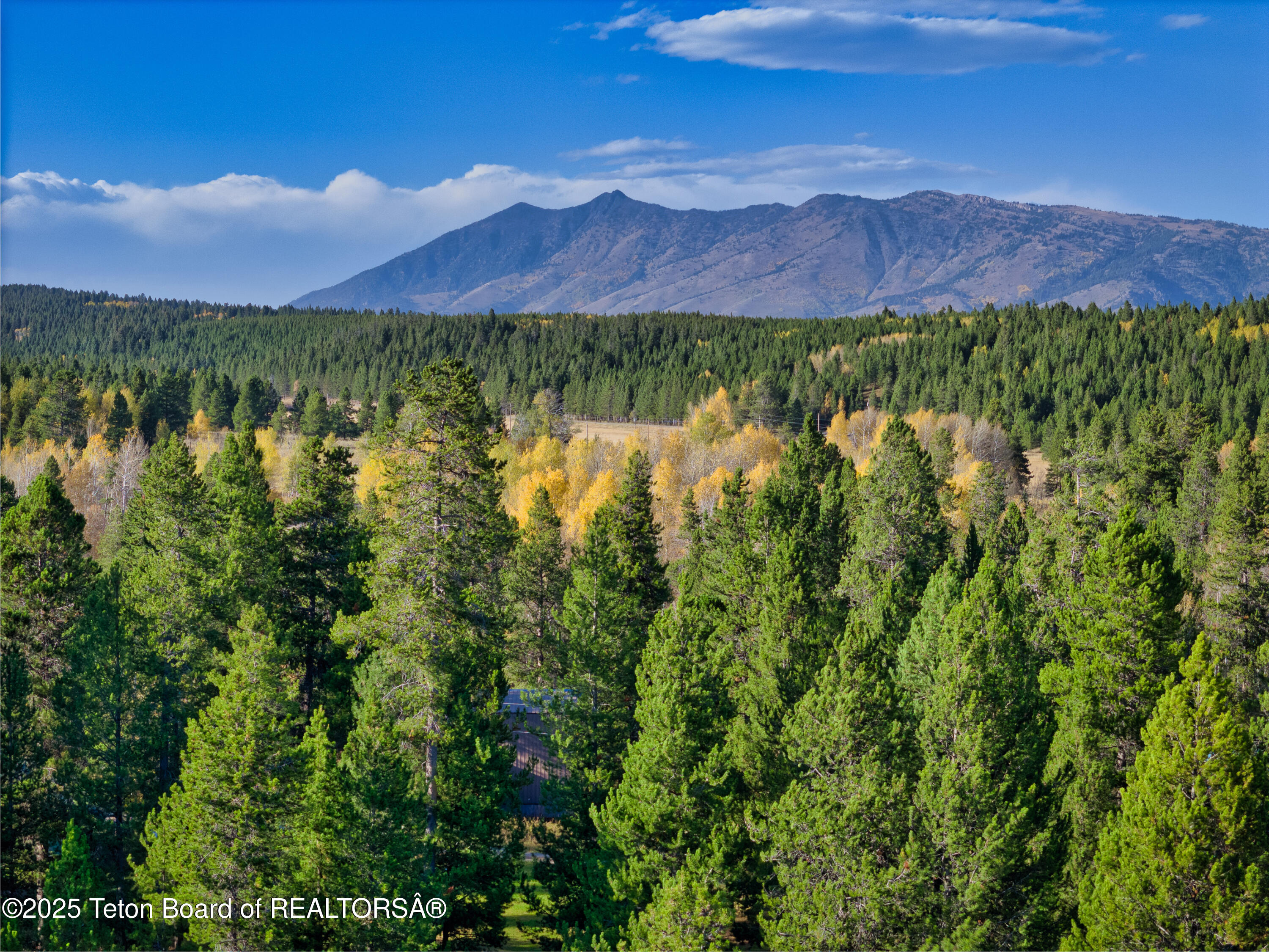 4008/4010 WEASEL Street